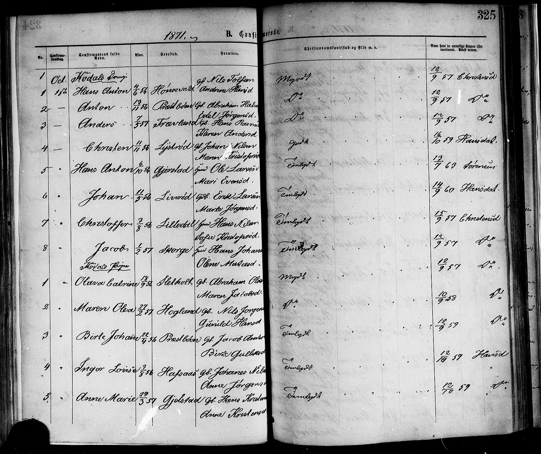 Andebu kirkebøker, SAKO/A-336/F/Fa/L0006: Parish register (official) no. 6, 1871-1878, p. 325