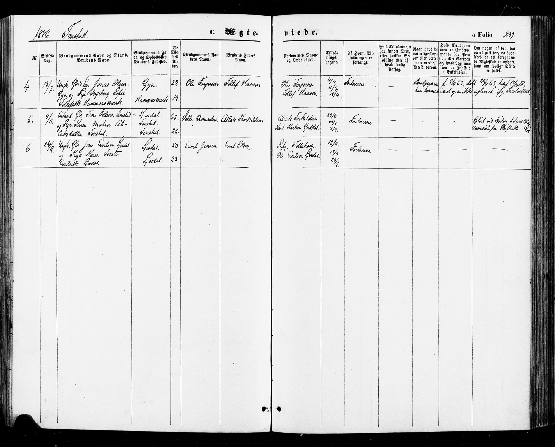 Sirdal sokneprestkontor, AV/SAK-1111-0036/F/Fa/Fab/L0003: Parish register (official) no. A 3, 1874-1886, p. 239