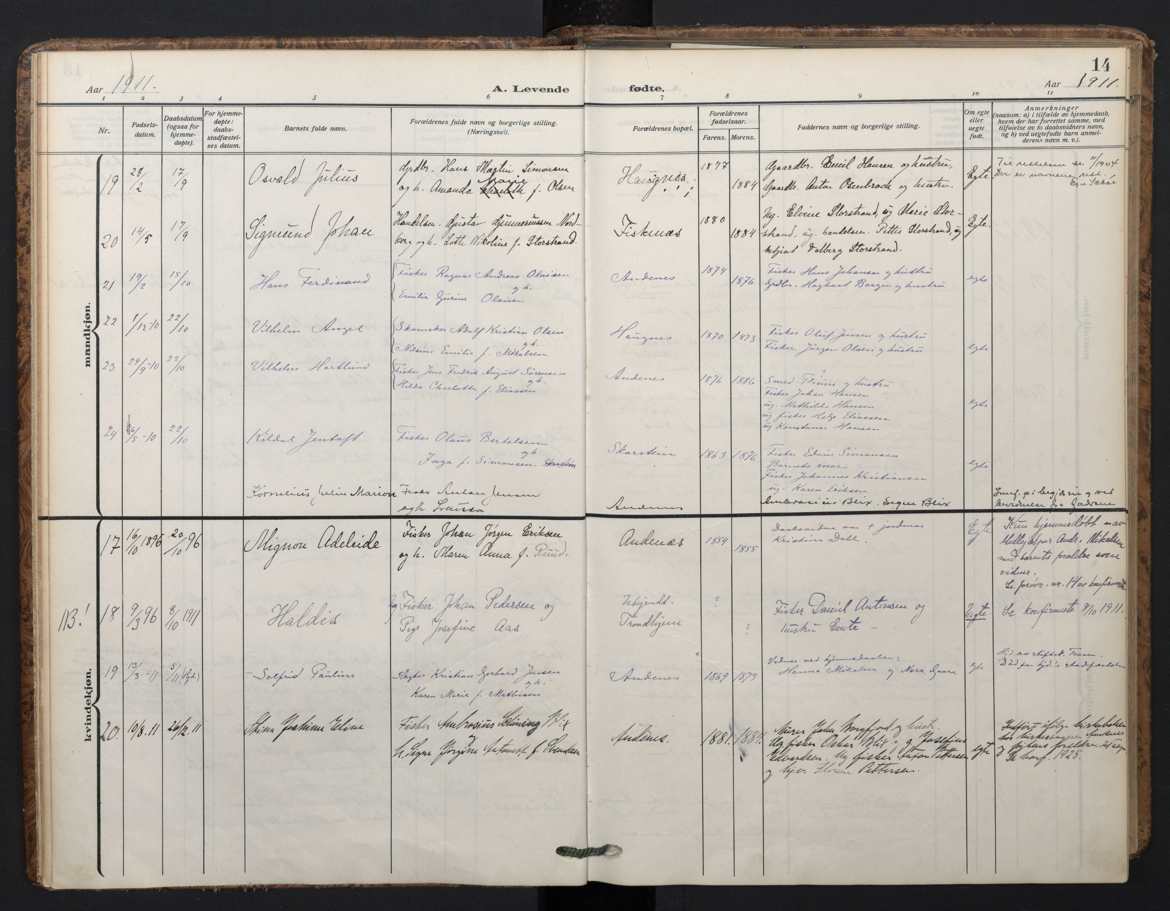 Ministerialprotokoller, klokkerbøker og fødselsregistre - Nordland, SAT/A-1459/899/L1438: Parish register (official) no. 899A06, 1909-1922, p. 14