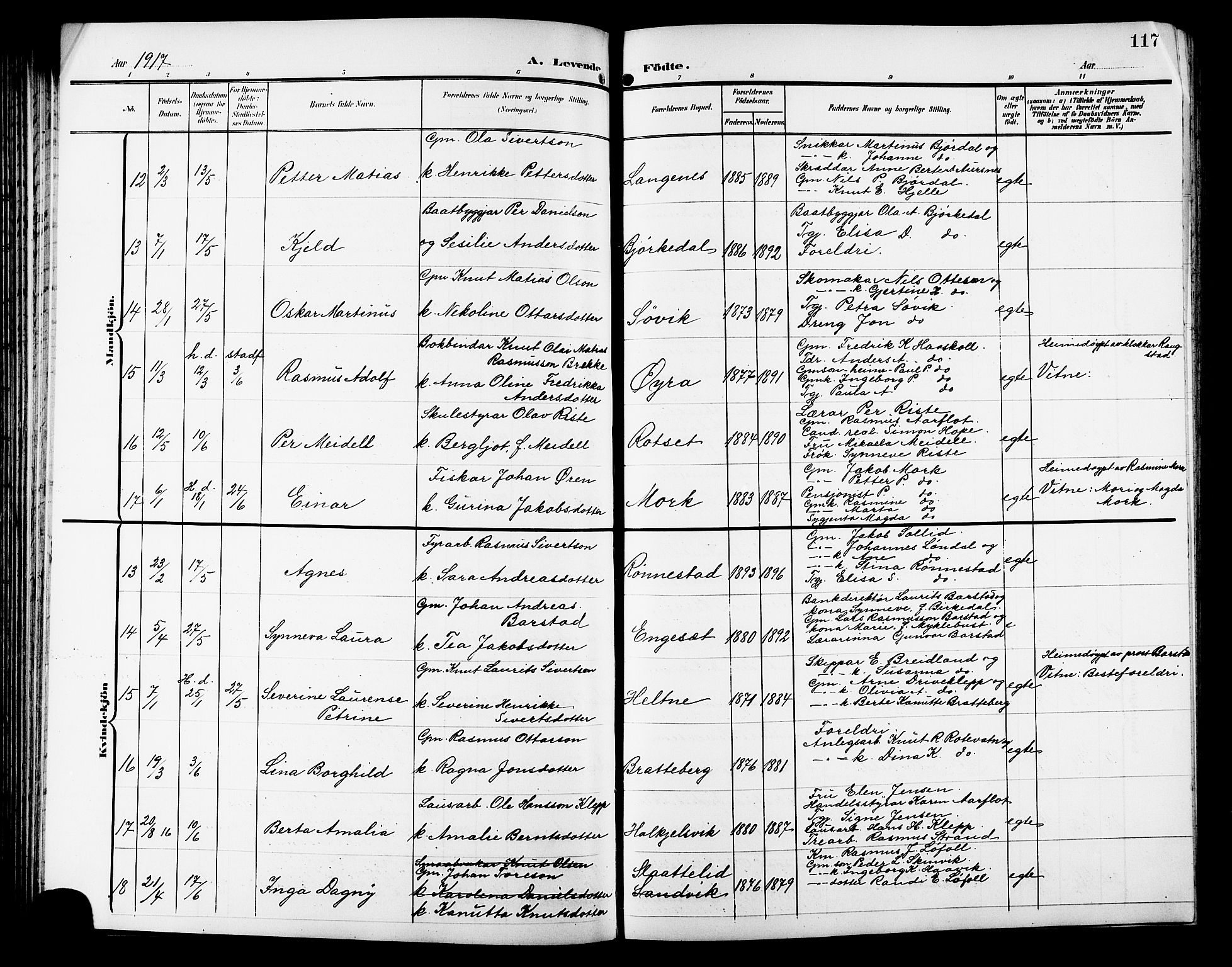 Ministerialprotokoller, klokkerbøker og fødselsregistre - Møre og Romsdal, SAT/A-1454/511/L0159: Parish register (copy) no. 511C05, 1902-1920, p. 117