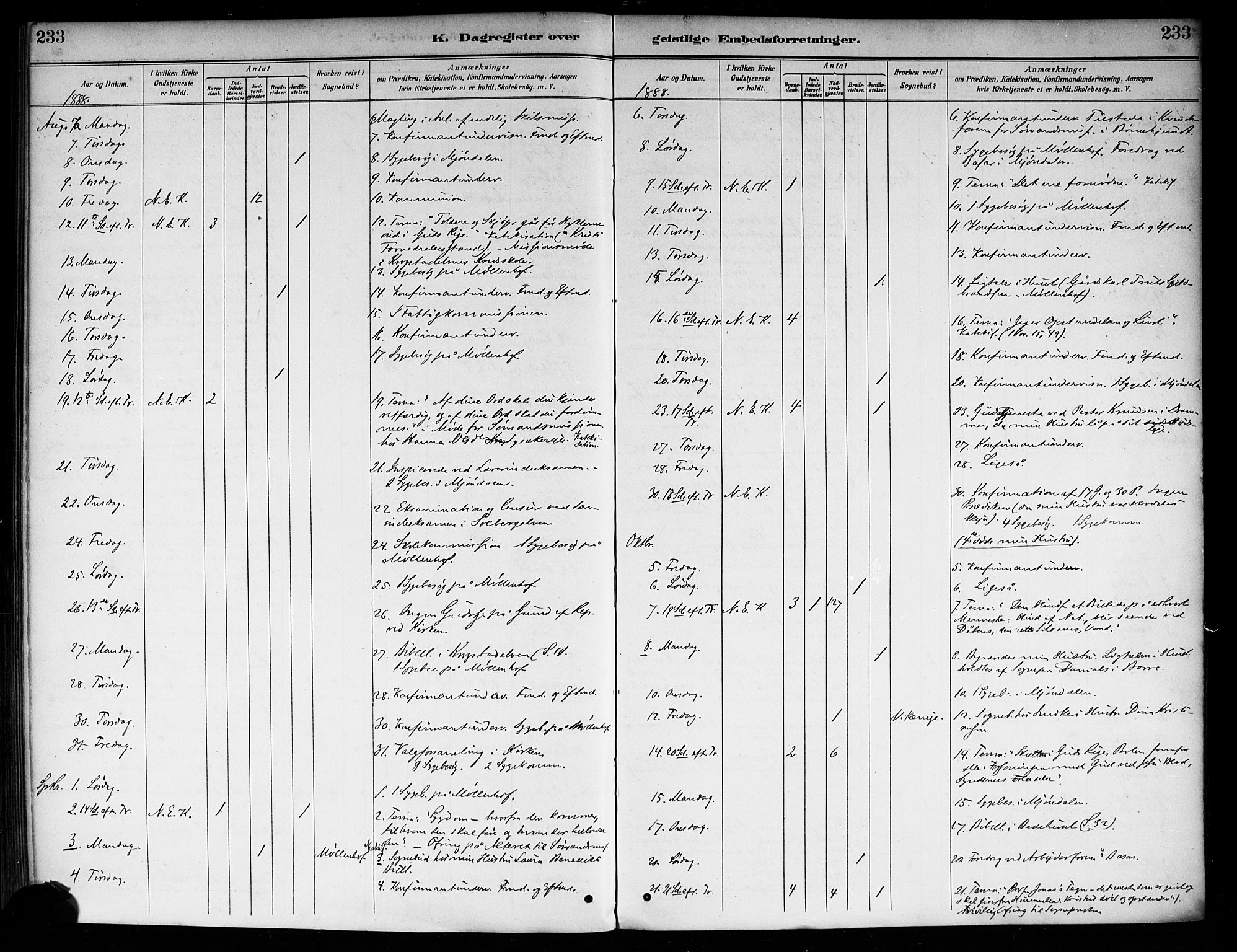 Nedre Eiker kirkebøker, AV/SAKO-A-612/F/Fa/L0003: Parish register (official) no. 3, 1885-1892, p. 233