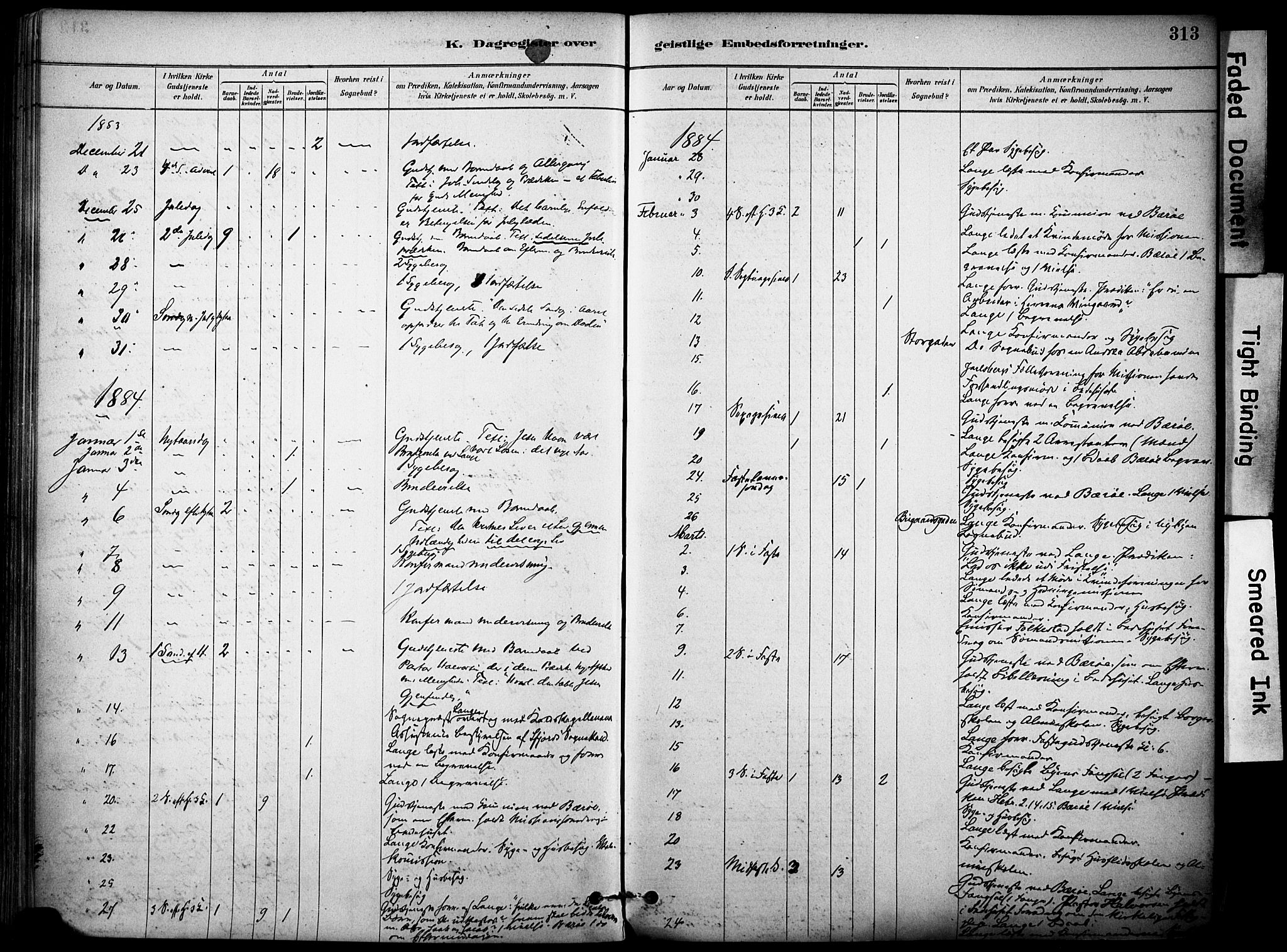 Sandefjord kirkebøker, AV/SAKO-A-315/F/Fa/L0002: Parish register (official) no. 2, 1880-1894, p. 313