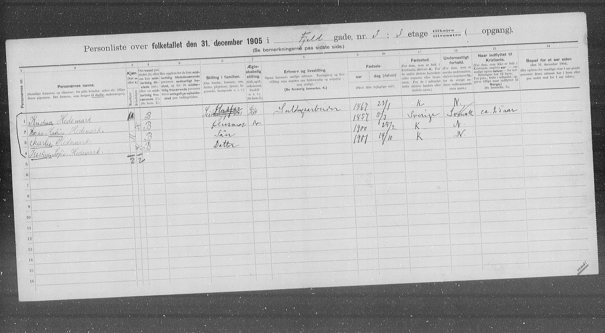 OBA, Municipal Census 1905 for Kristiania, 1905, p. 12543