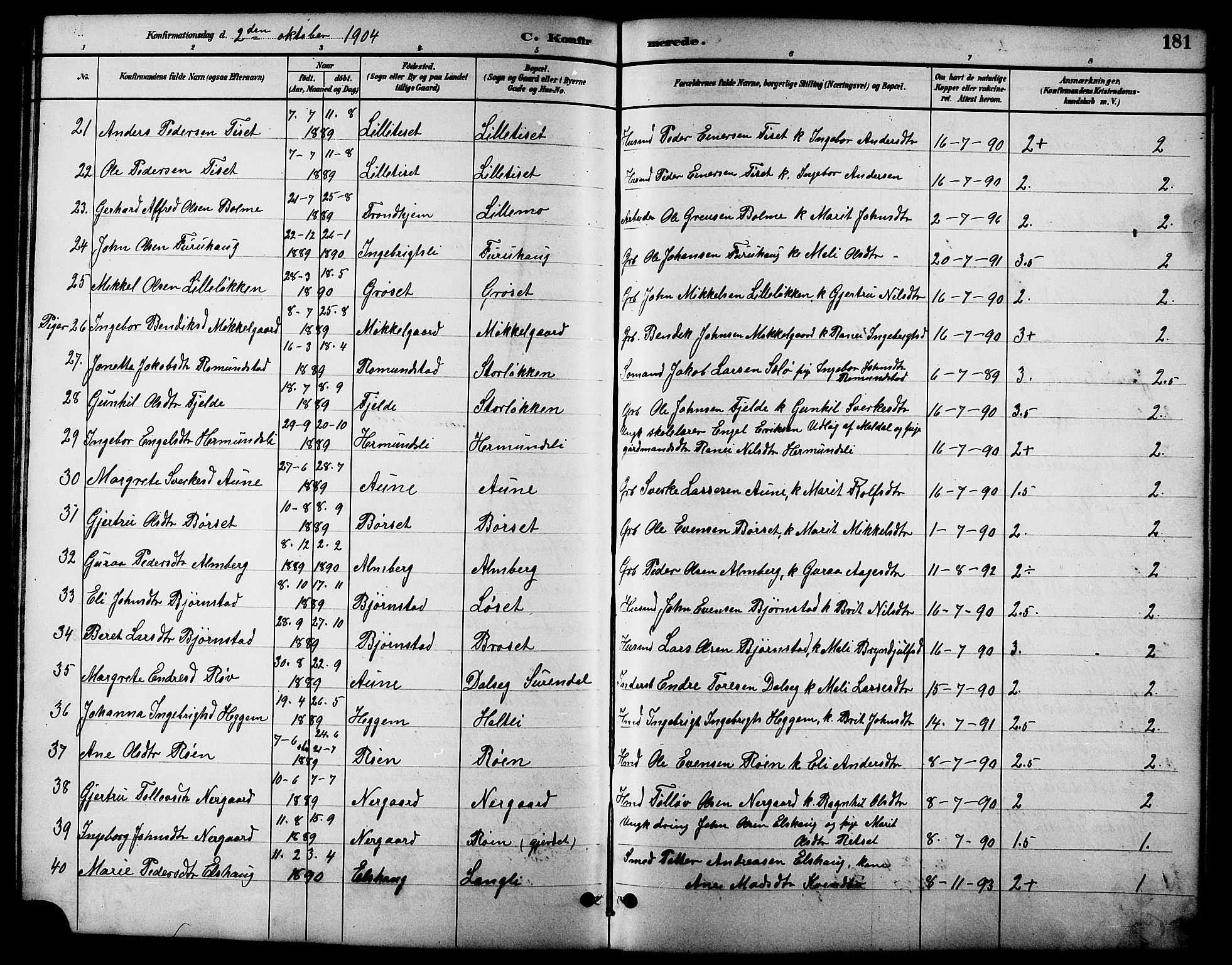 Ministerialprotokoller, klokkerbøker og fødselsregistre - Møre og Romsdal, SAT/A-1454/598/L1078: Parish register (copy) no. 598C03, 1892-1909, p. 181