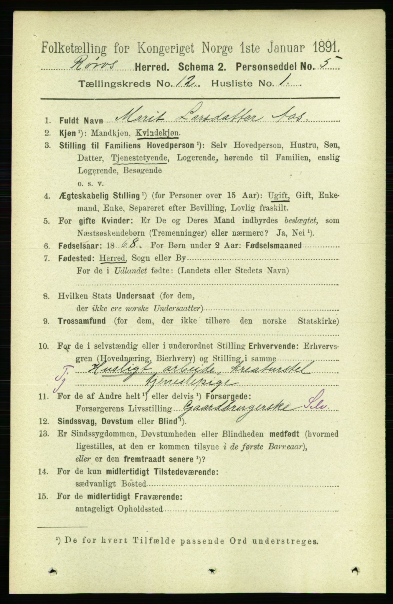 RA, 1891 census for 1640 Røros, 1891, p. 2373