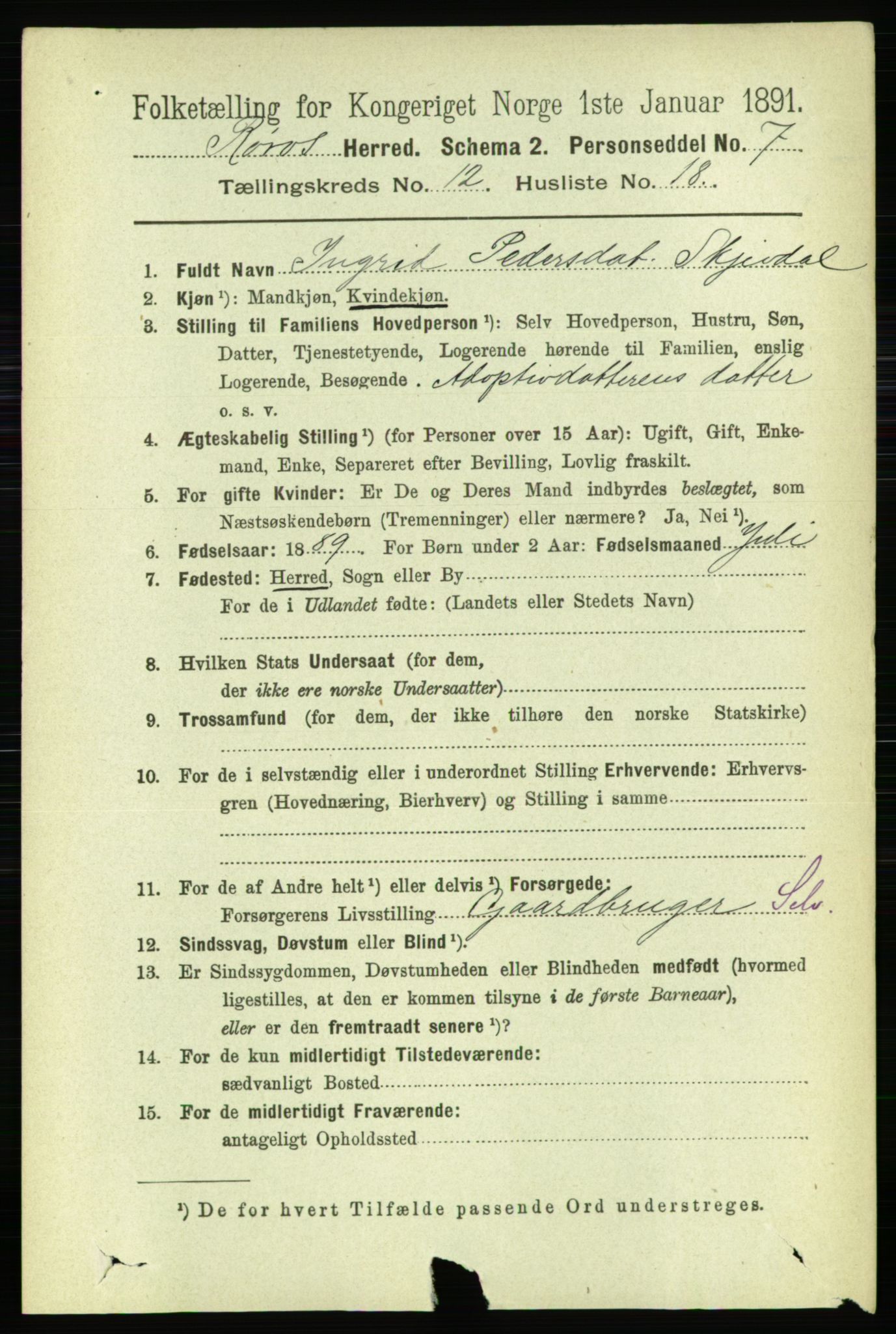 RA, 1891 census for 1640 Røros, 1891, p. 2505