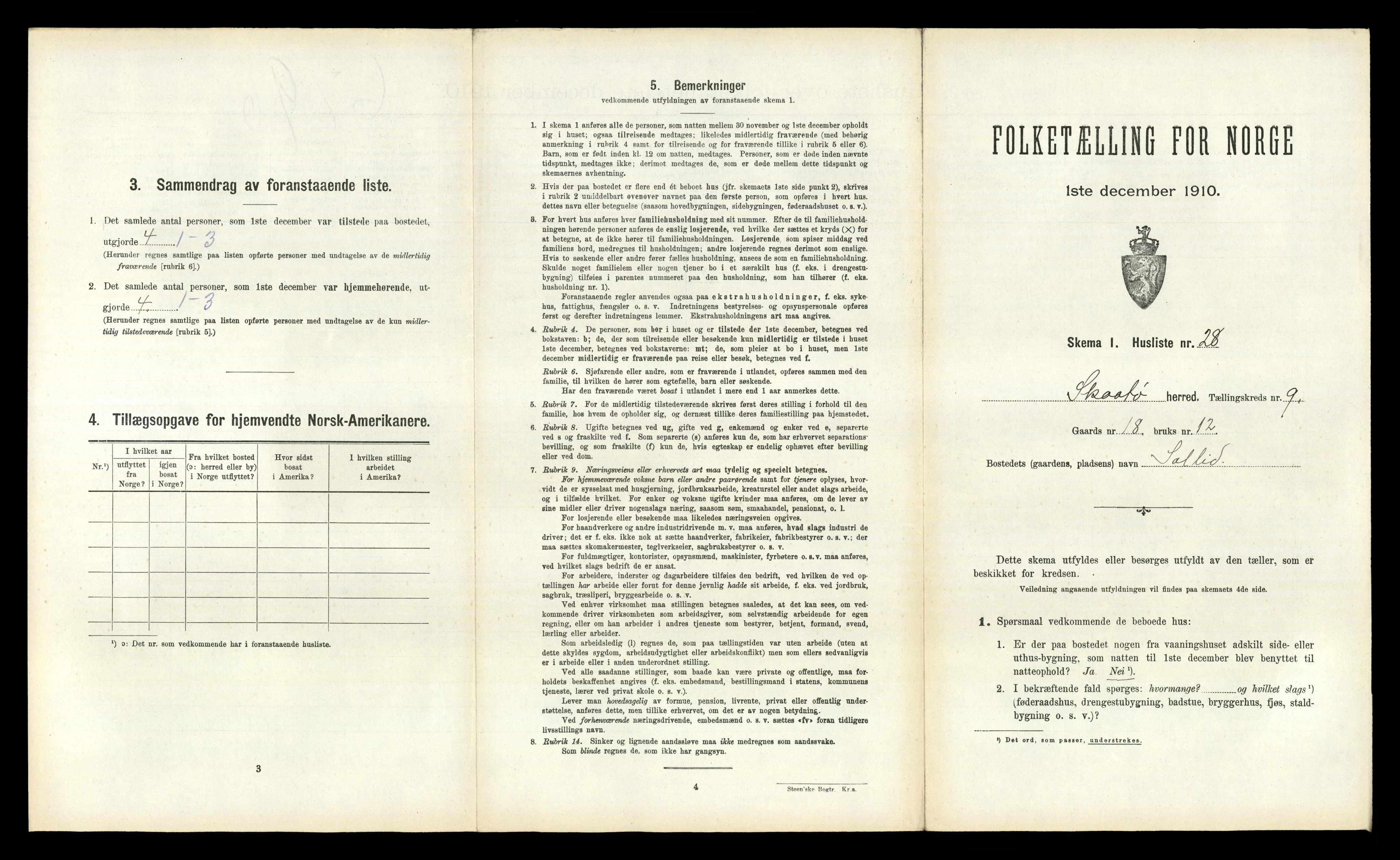 RA, 1910 census for Skåtøy, 1910, p. 1007