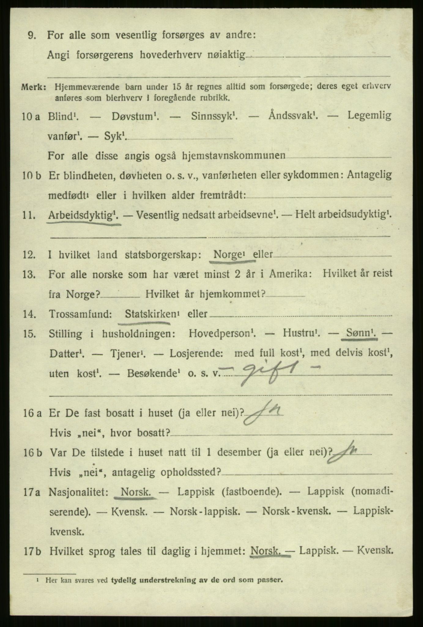 SATØ, 1920 census for Nordreisa, 1920, p. 3250