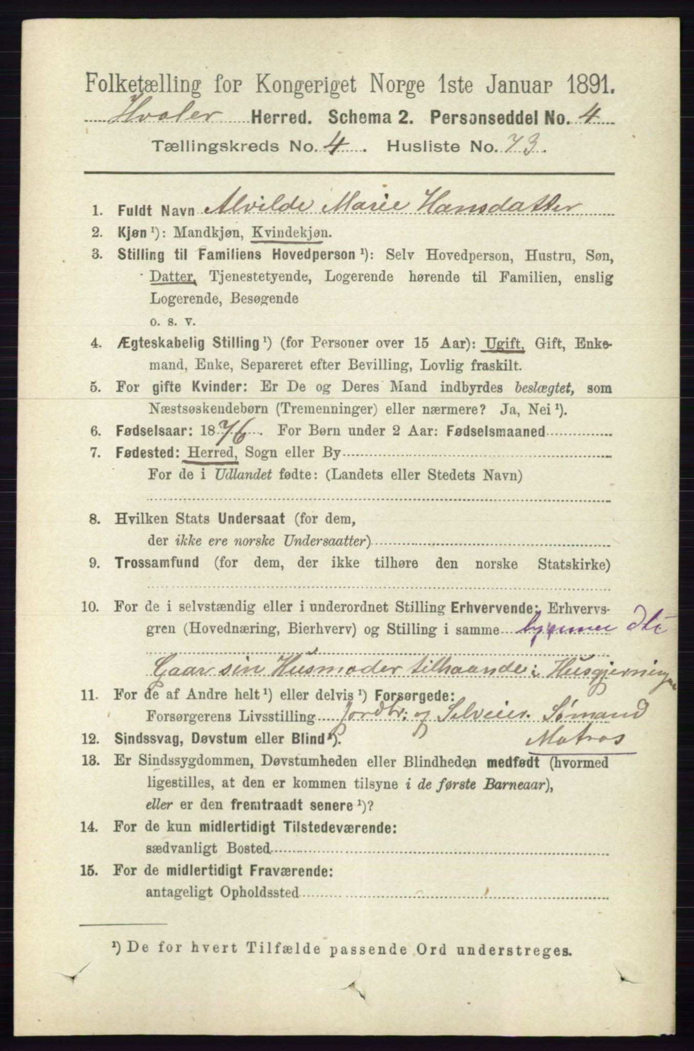 RA, 1891 census for 0111 Hvaler, 1891, p. 3031