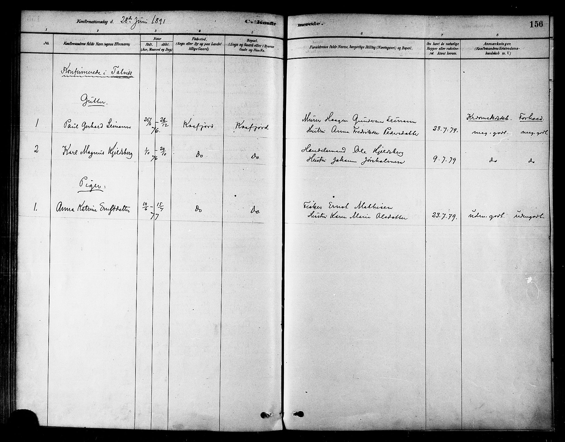 Alta sokneprestkontor, SATØ/S-1338/H/Ha/L0002.kirke: Parish register (official) no. 2, 1879-1892, p. 156