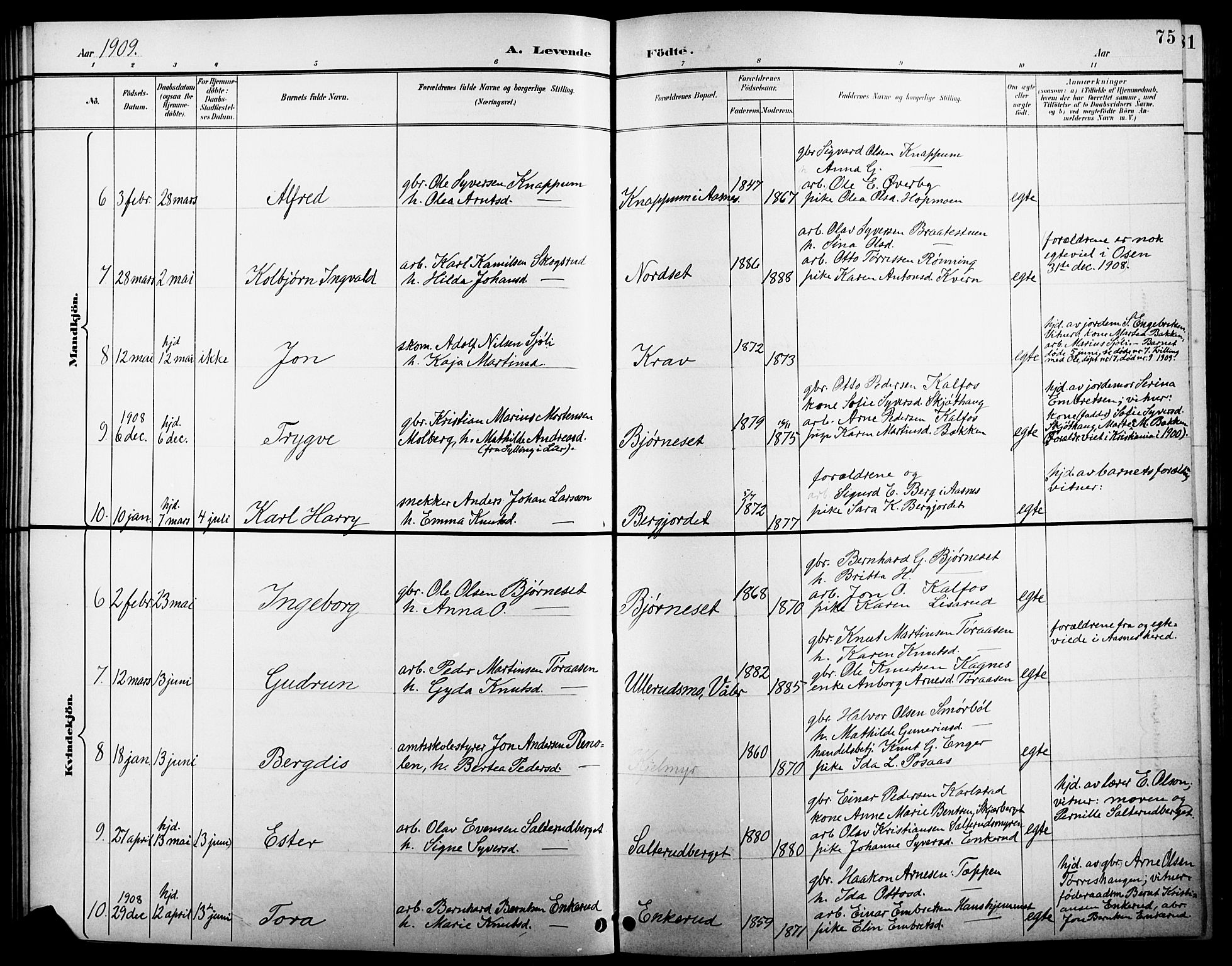 Åsnes prestekontor, AV/SAH-PREST-042/H/Ha/Hab/L0005: Parish register (copy) no. 5, 1895-1920, p. 75