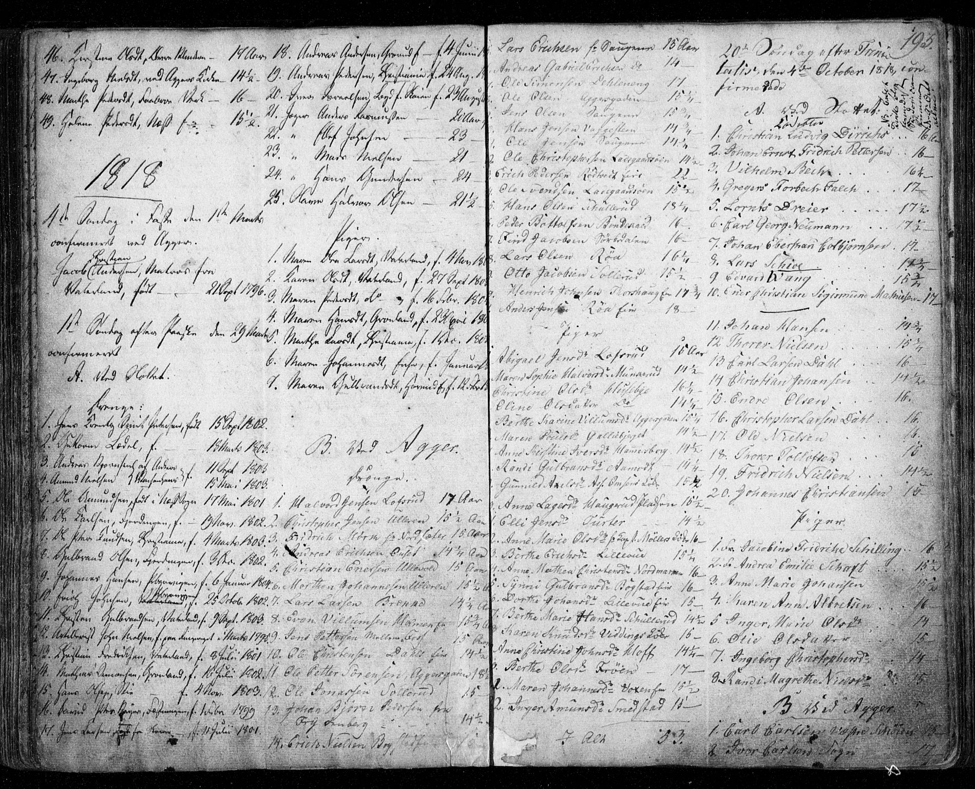 Aker prestekontor kirkebøker, SAO/A-10861/F/L0011: Parish register (official) no. 11, 1810-1819, p. 193