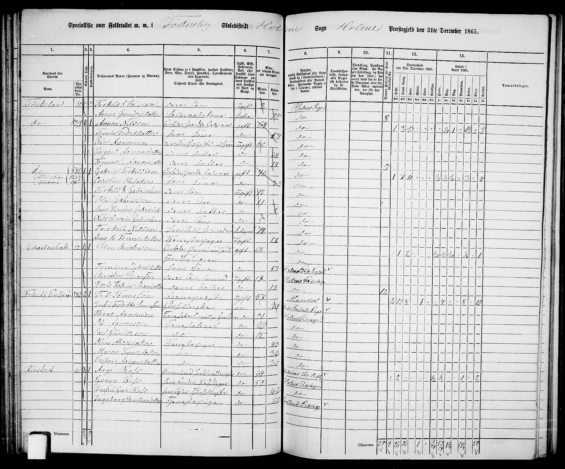 RA, 1865 census for Holum, 1865, p. 62