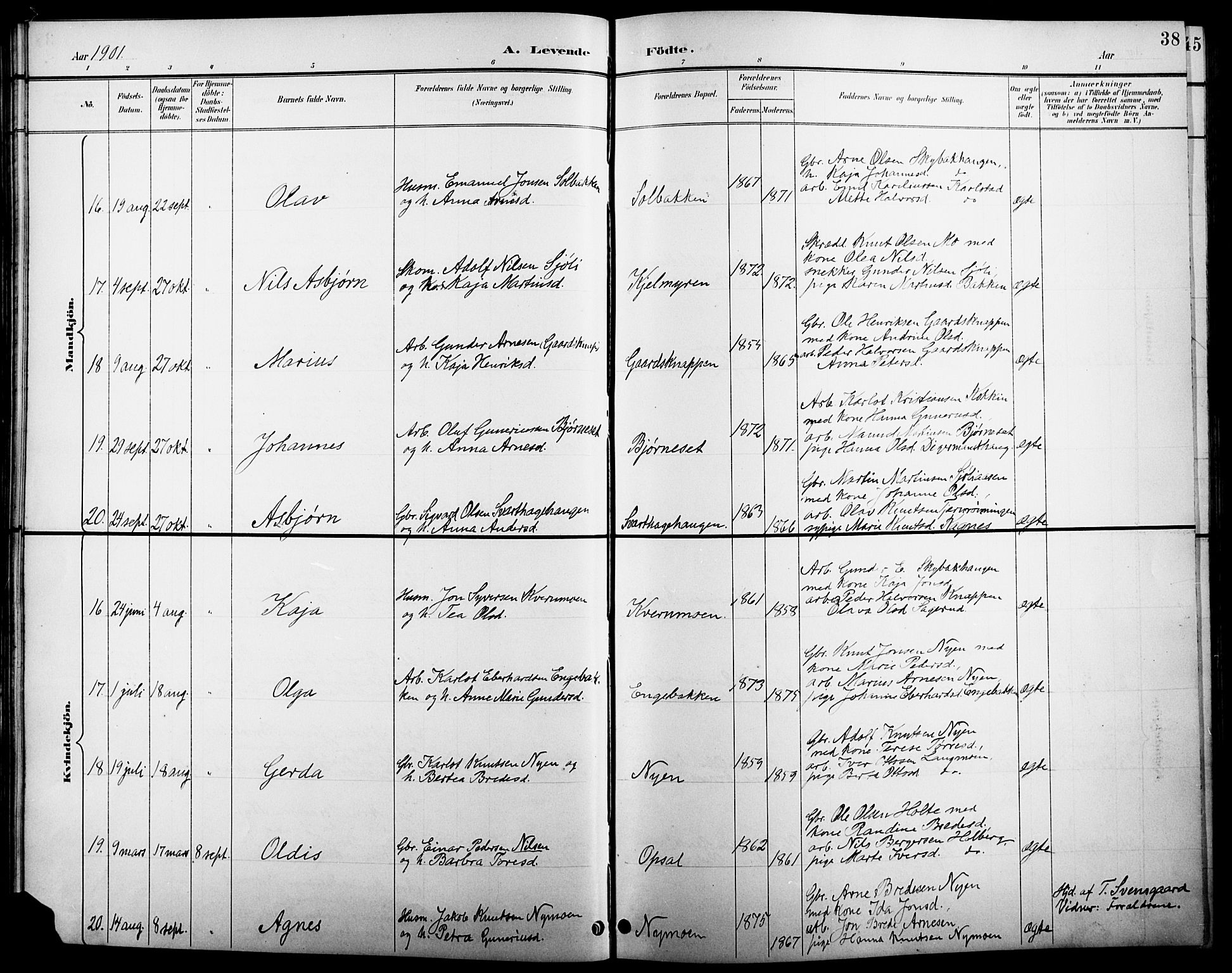 Åsnes prestekontor, AV/SAH-PREST-042/H/Ha/Hab/L0005: Parish register (copy) no. 5, 1895-1920, p. 38