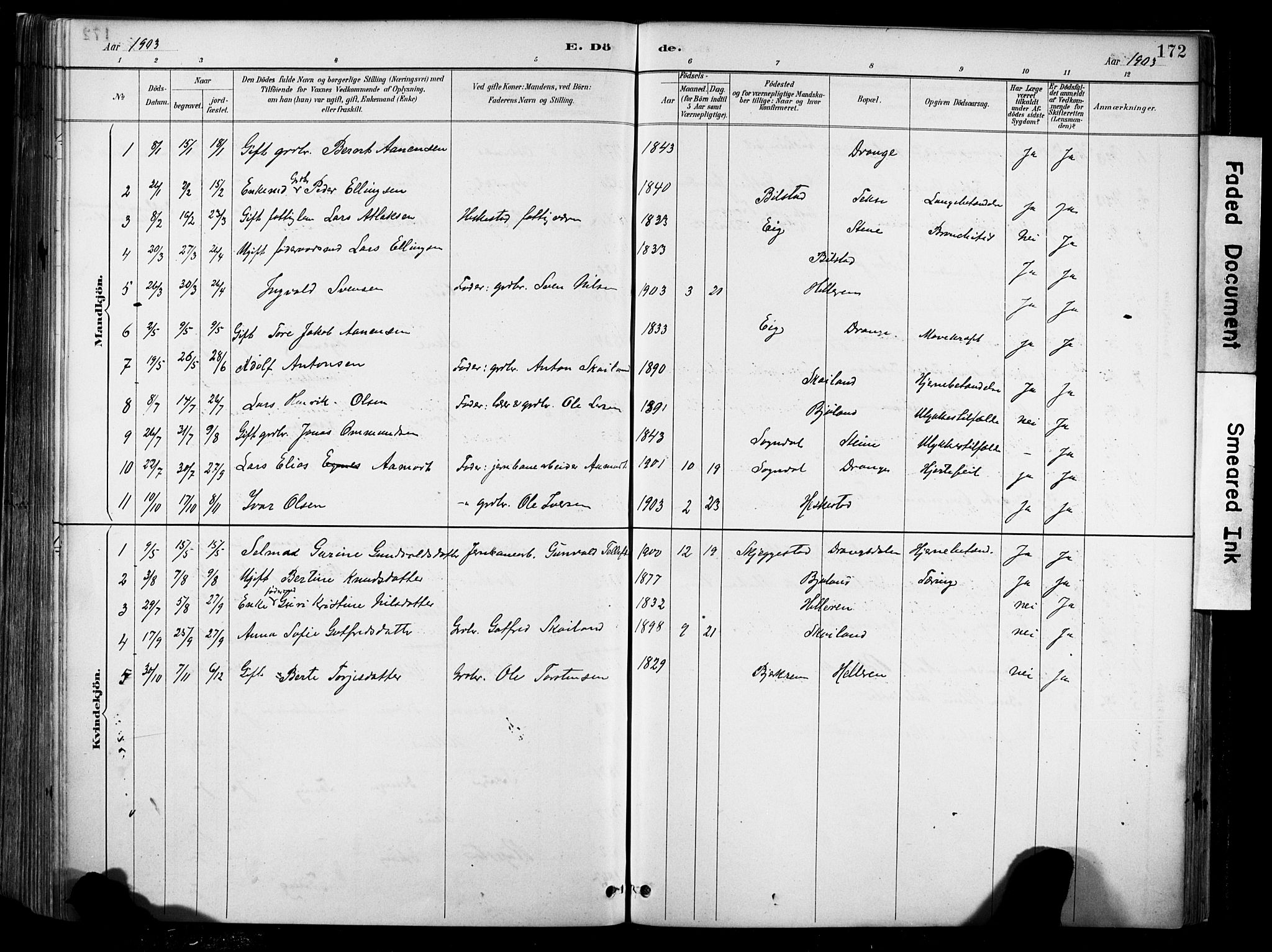 Lund sokneprestkontor, AV/SAST-A-101809/S06/L0012: Parish register (official) no. A 11, 1887-1921, p. 172