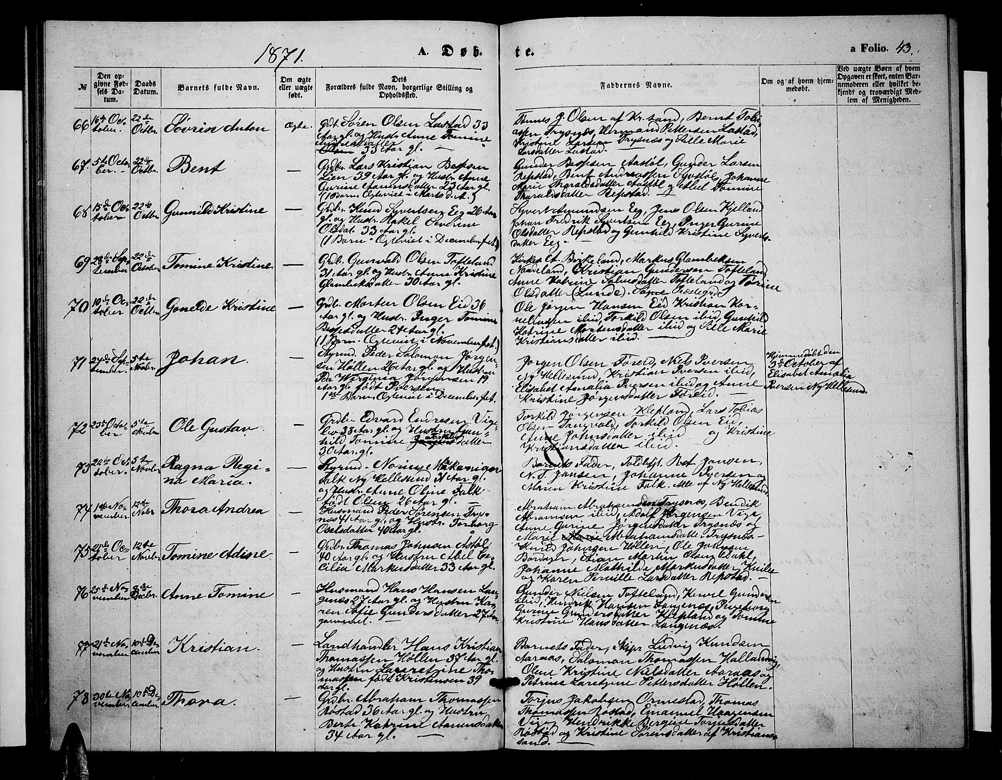 Søgne sokneprestkontor, SAK/1111-0037/F/Fb/Fbb/L0004: Parish register (copy) no. B 4, 1864-1883, p. 43