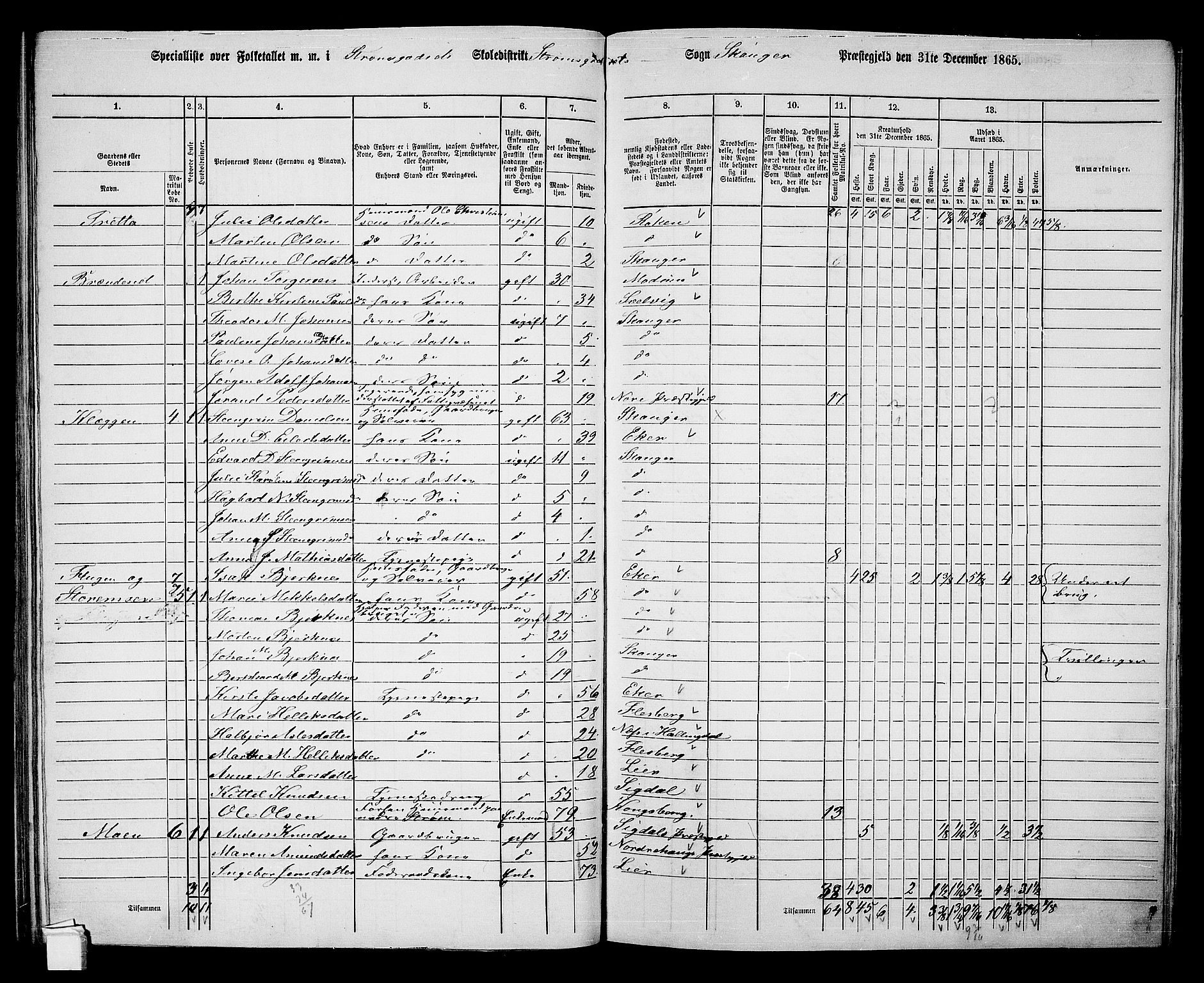 RA, 1865 census for Skoger, 1865, p. 117