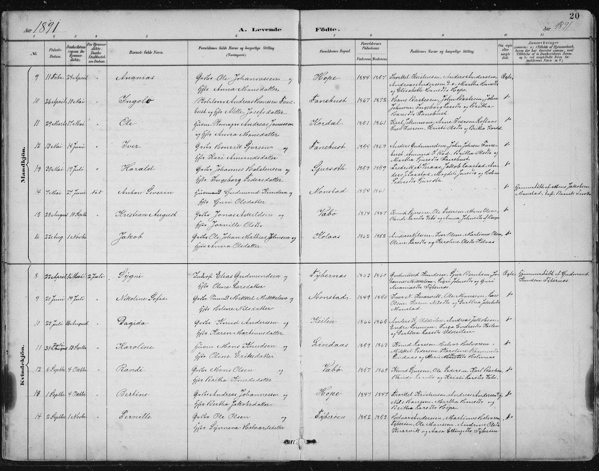Lindås Sokneprestembete, SAB/A-76701/H/Hab: Parish register (copy) no. B 3, 1886-1914, p. 20