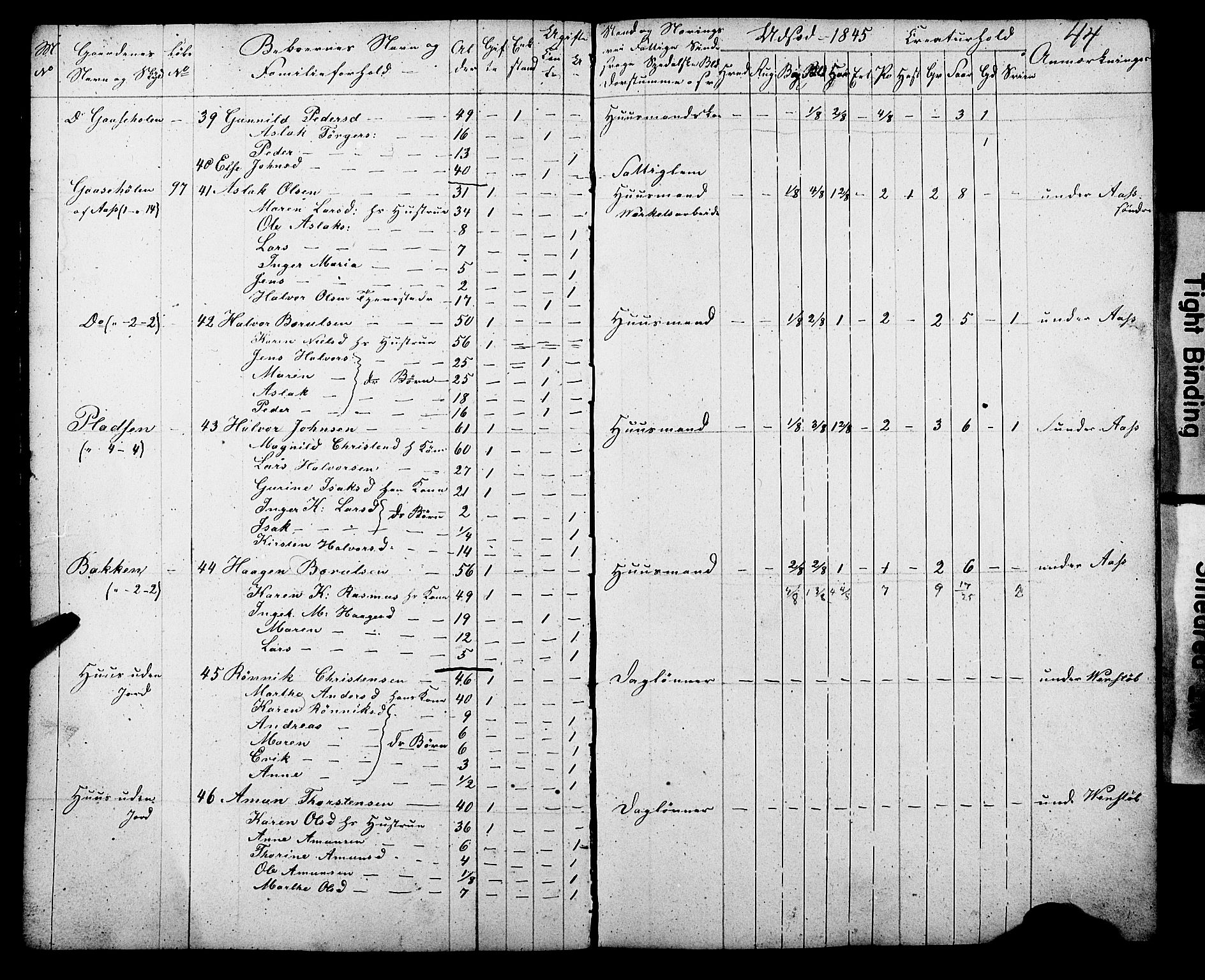 , Census 1845 for Gjerpen, 1845, p. 44