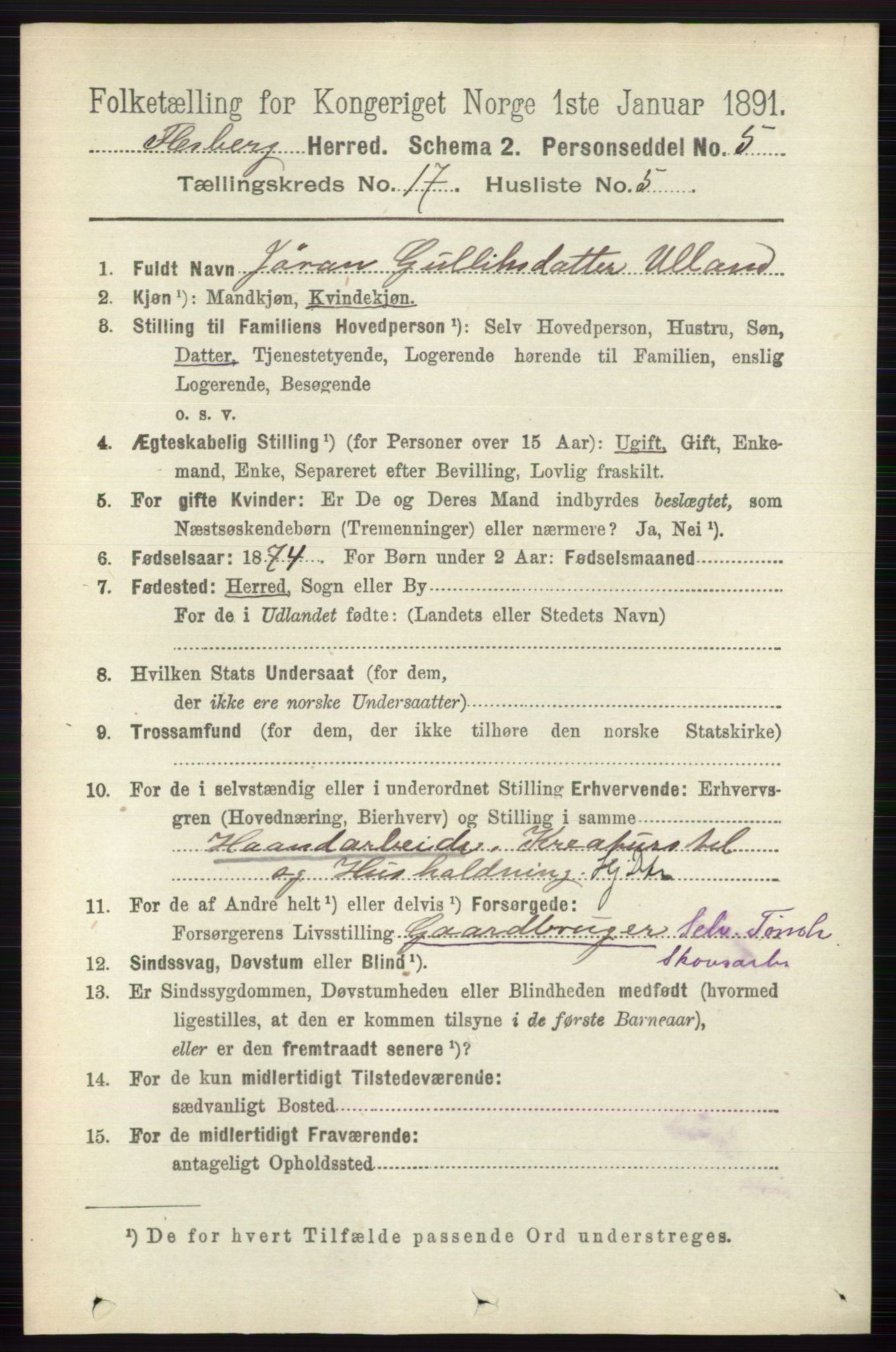 RA, 1891 census for 0631 Flesberg, 1891, p. 3008