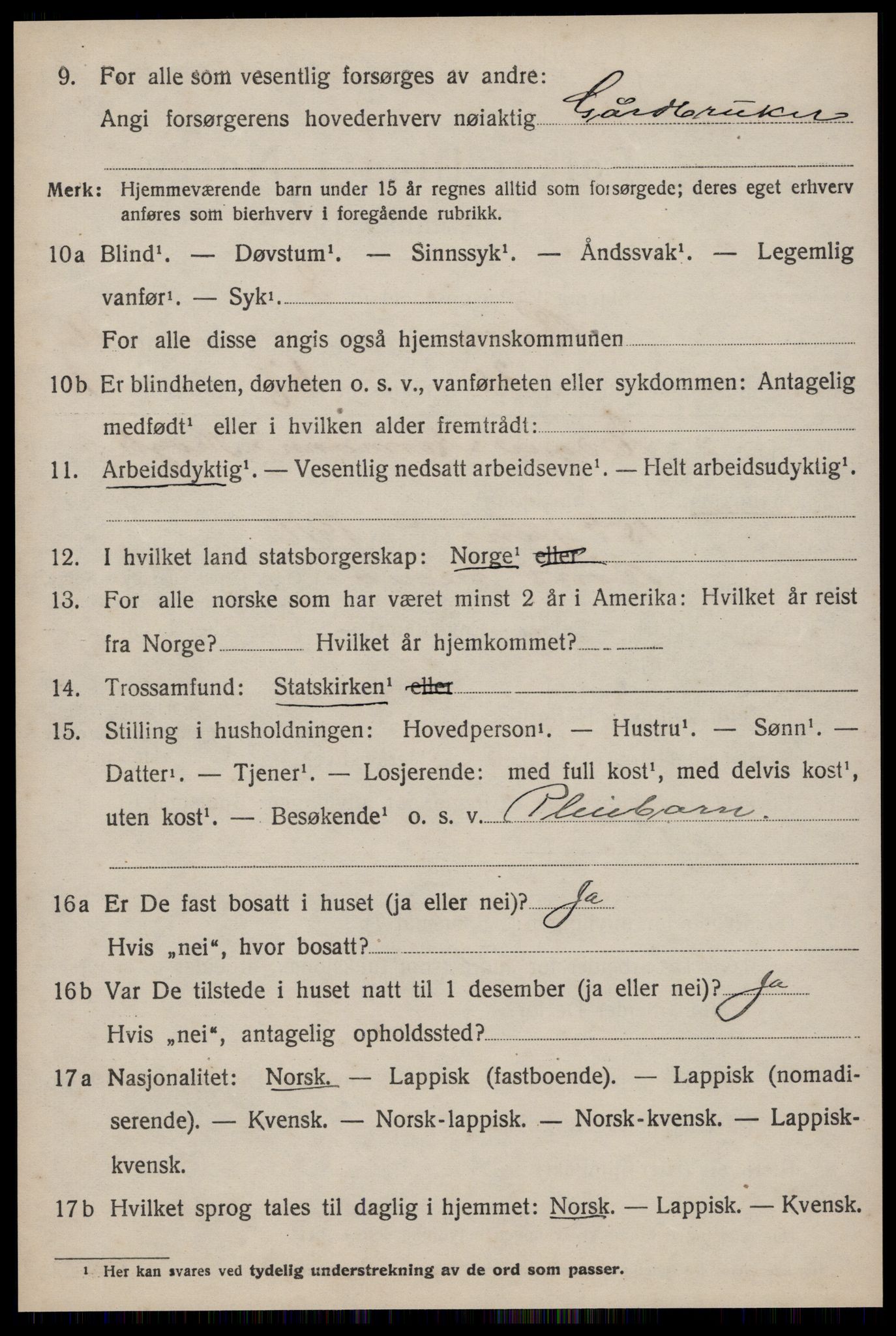 SAT, 1920 census for Røros, 1920, p. 11313