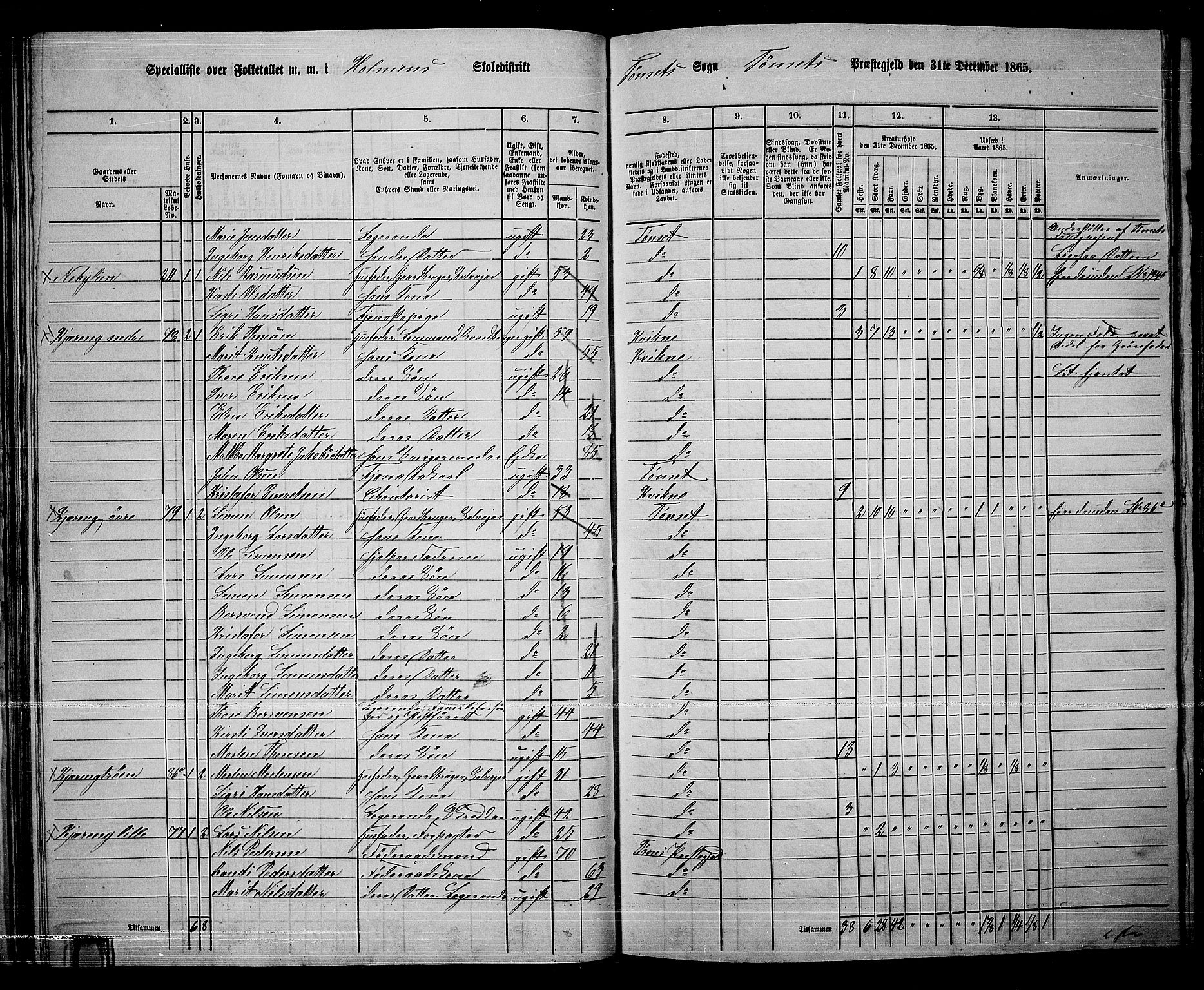 RA, 1865 census for Tynset, 1865, p. 46