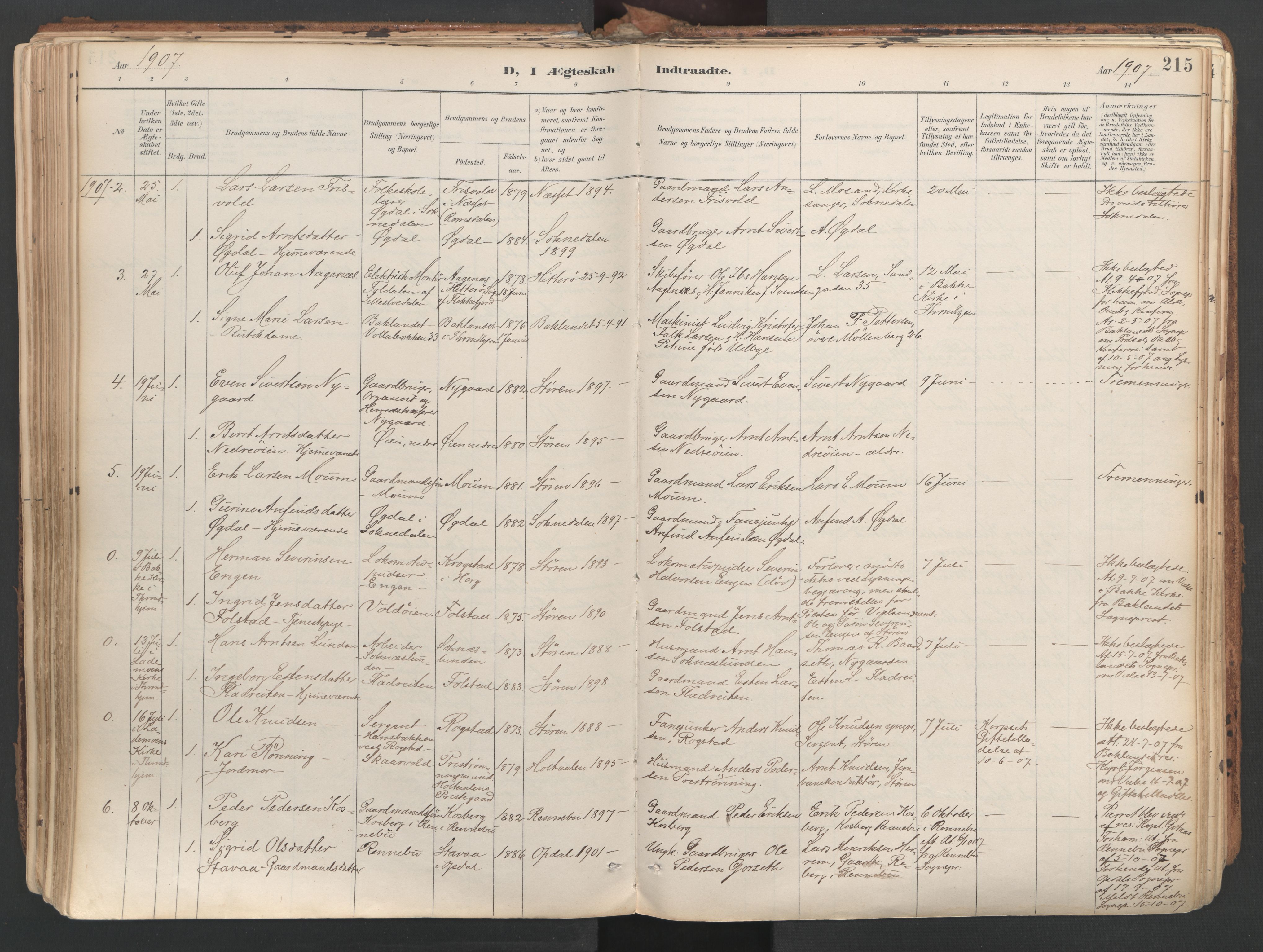 Ministerialprotokoller, klokkerbøker og fødselsregistre - Sør-Trøndelag, SAT/A-1456/687/L1004: Parish register (official) no. 687A10, 1891-1923, p. 215