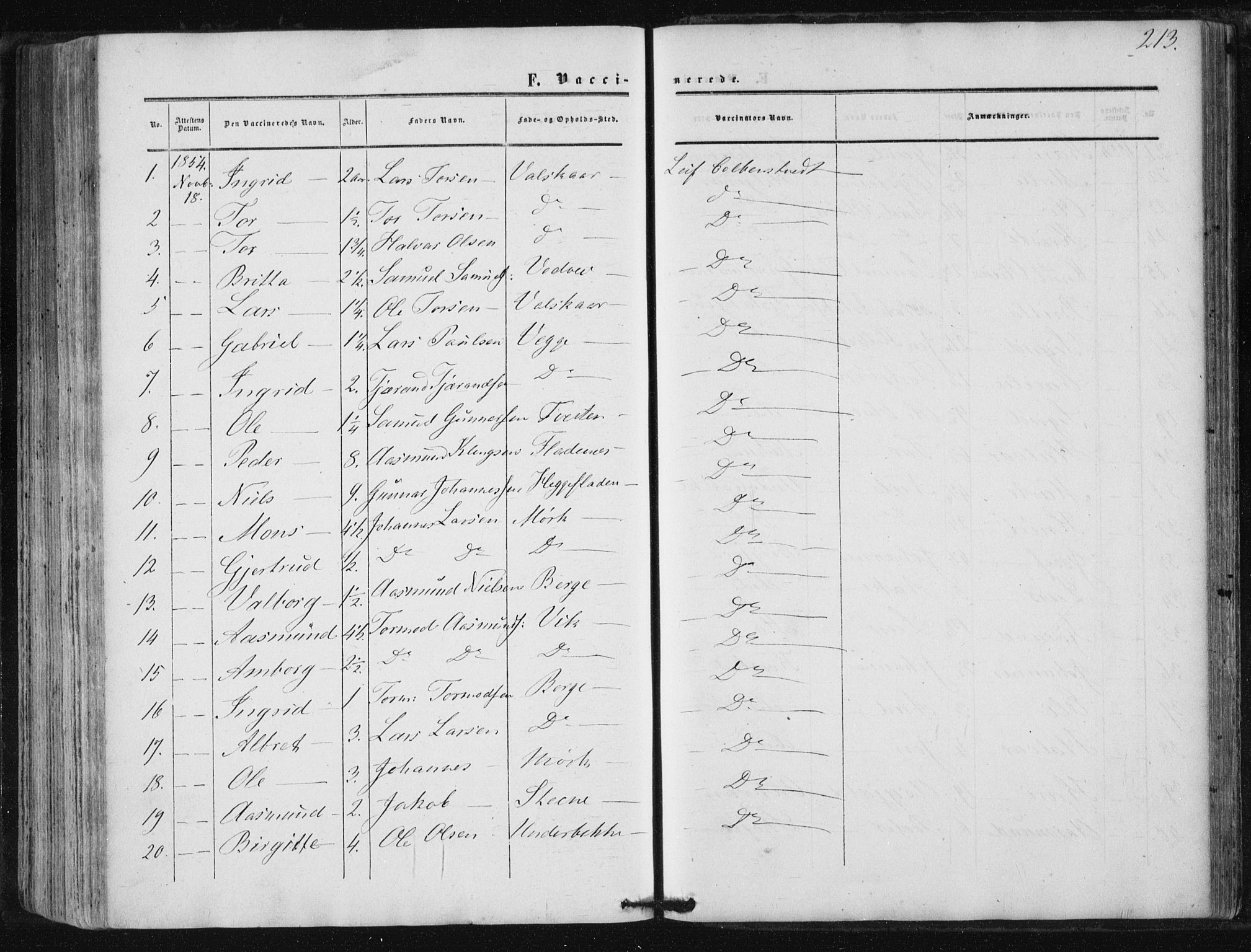 Suldal sokneprestkontor, SAST/A-101845/01/IV/L0009: Parish register (official) no. A 9, 1854-1868, p. 213