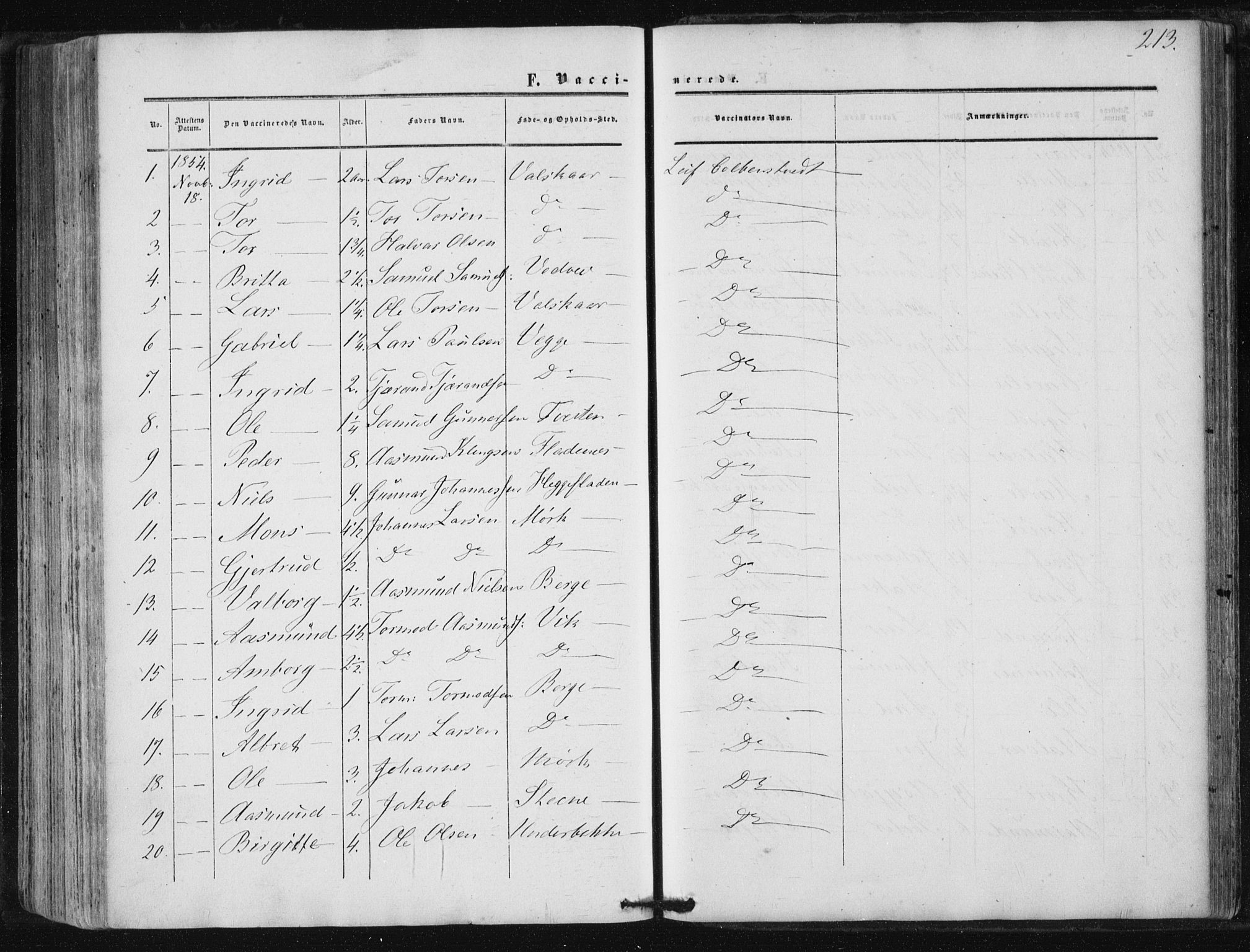 Suldal sokneprestkontor, AV/SAST-A-101845/01/IV/L0009: Parish register (official) no. A 9, 1854-1868, p. 213