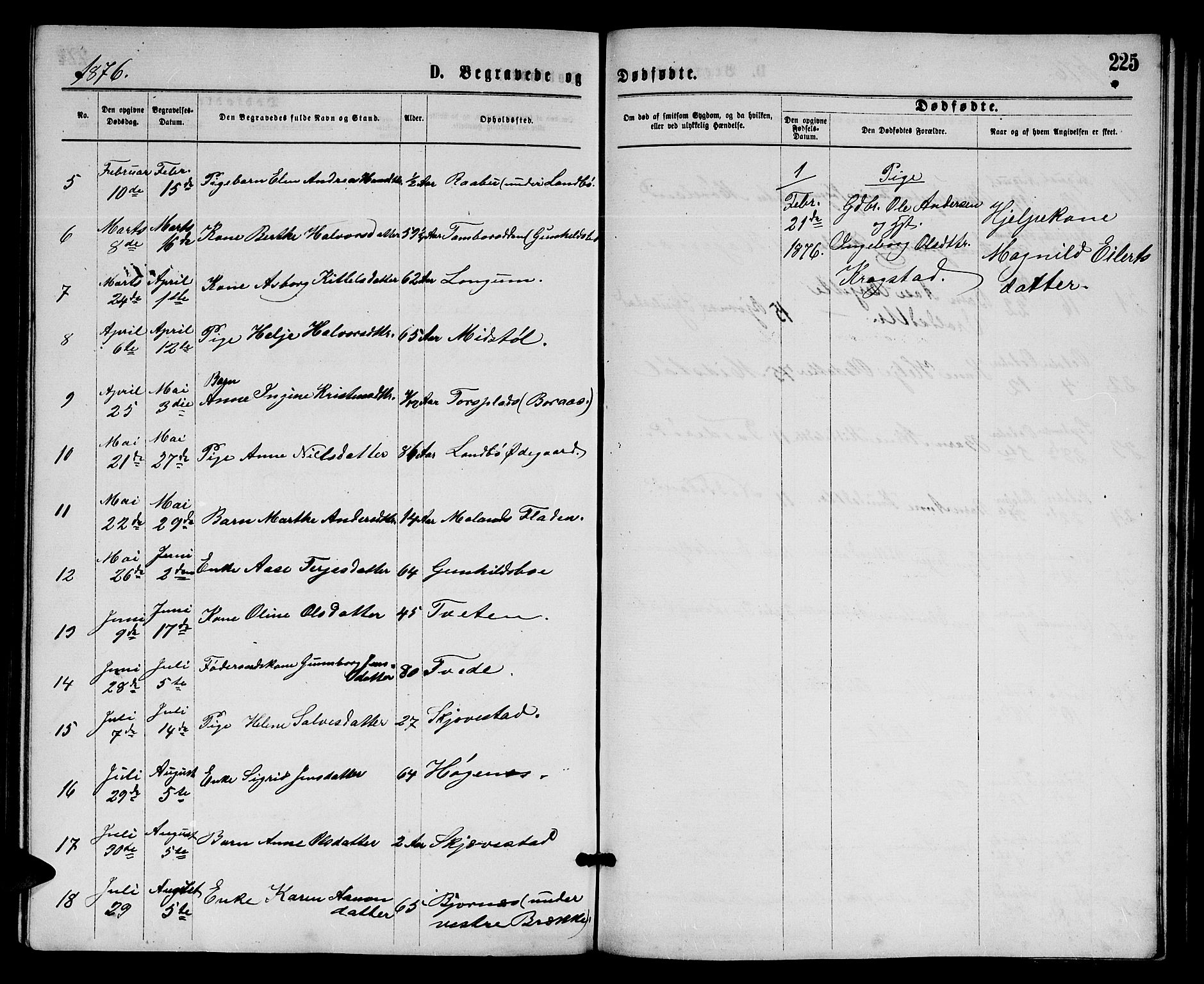 Austre Moland sokneprestkontor, SAK/1111-0001/F/Fb/Fba/L0002: Parish register (copy) no. B 2, 1869-1879, p. 225