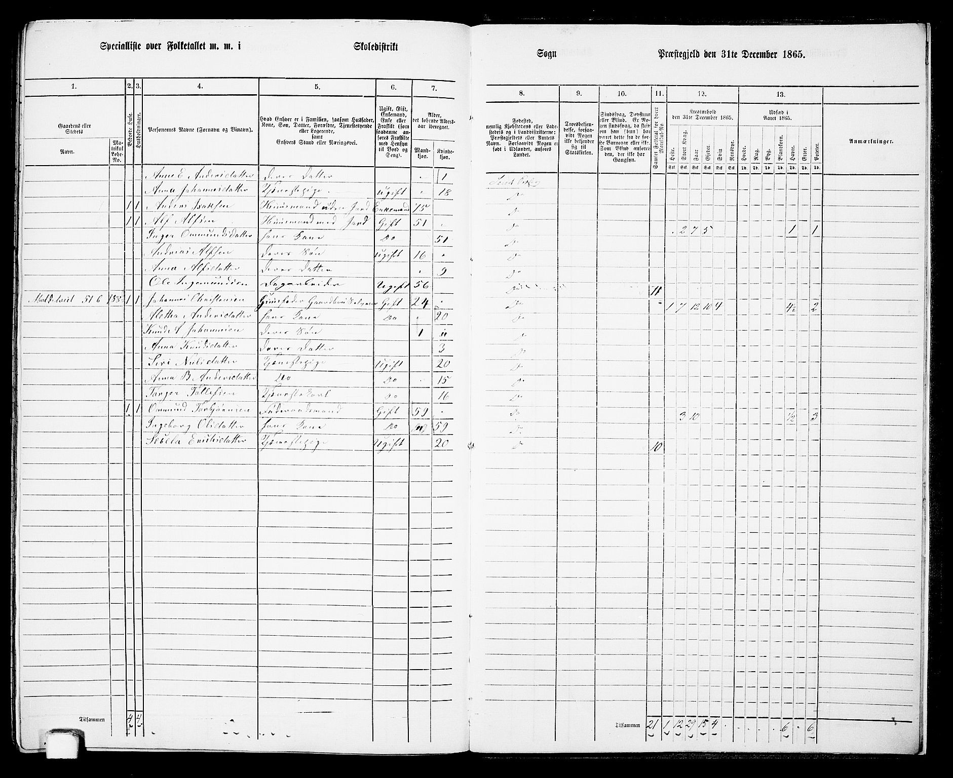 RA, 1865 census for Sand, 1865, p. 162