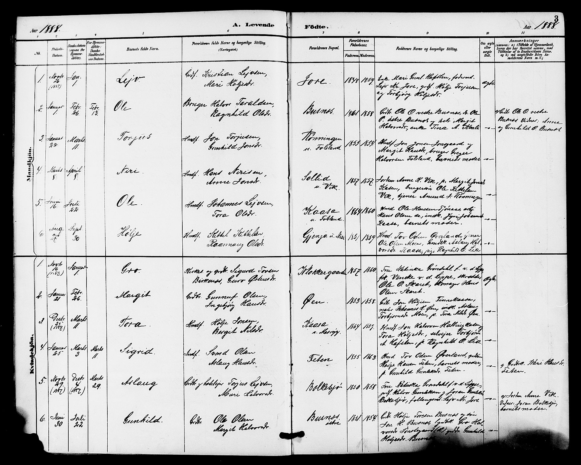 Gransherad kirkebøker, SAKO/A-267/G/Ga/L0003: Parish register (copy) no. I 3, 1887-1915, p. 3