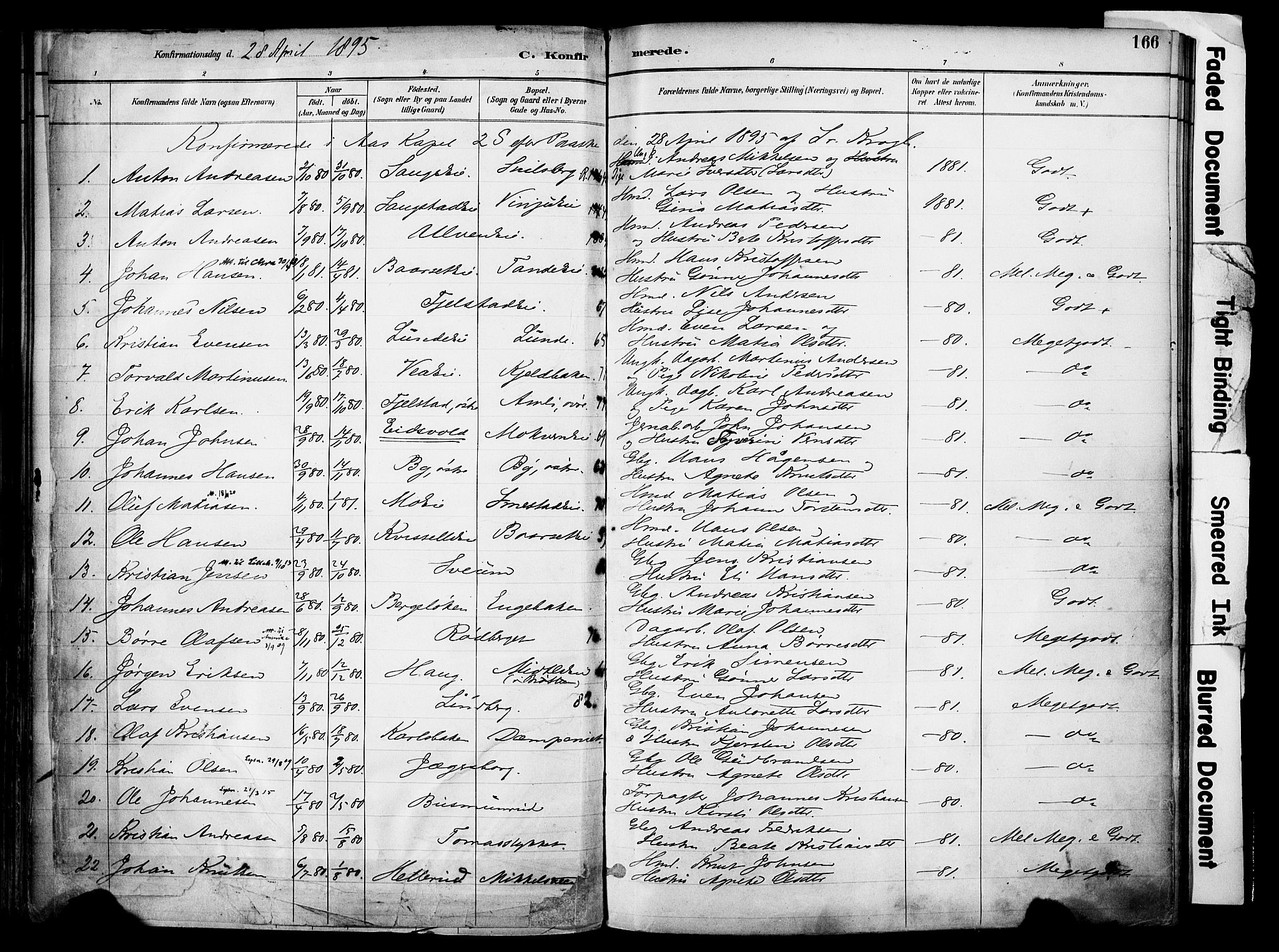 Ringsaker prestekontor, AV/SAH-PREST-014/K/Ka/L0017: Parish register (official) no. 17, 1891-1902, p. 166