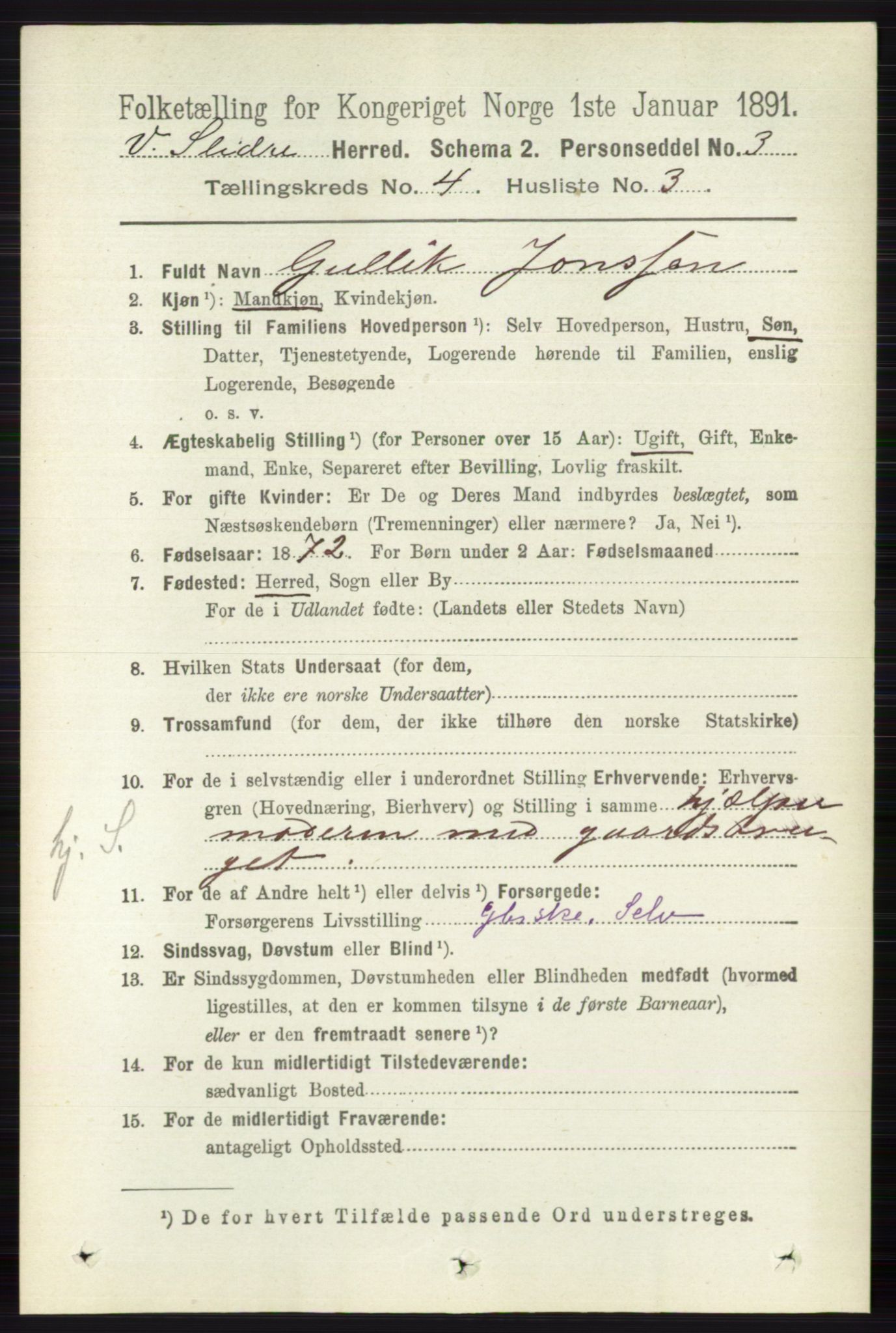 RA, 1891 census for 0543 Vestre Slidre, 1891, p. 1267