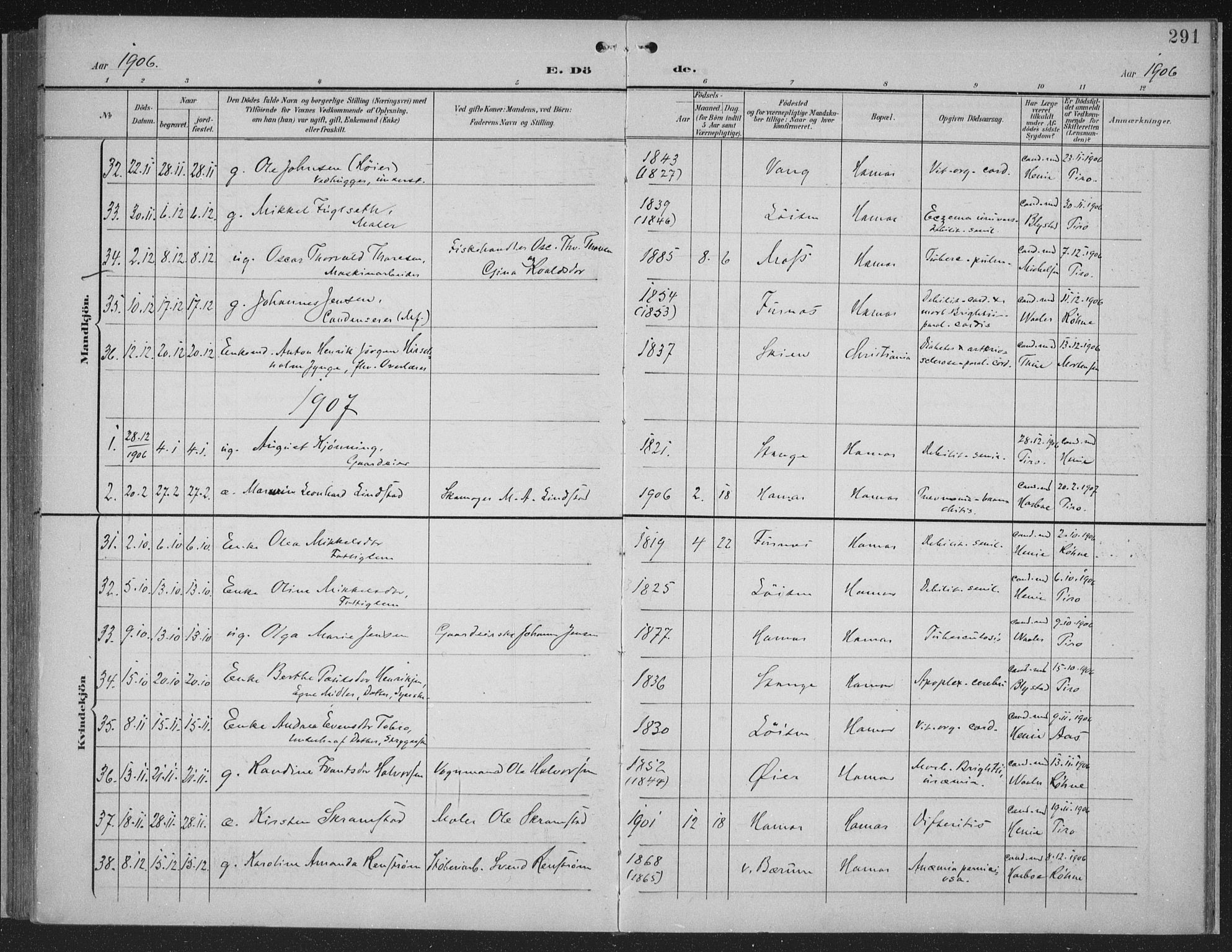 Hamar prestekontor, AV/SAH-DOMPH-002/H/Ha/Haa/L0001: Parish register (official) no. 1, 1900-1914, p. 291