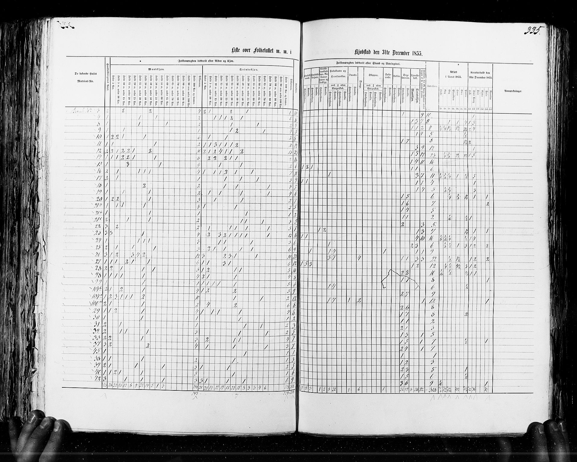 RA, Census 1855, vol. 7: Fredrikshald-Kragerø, 1855, p. 335