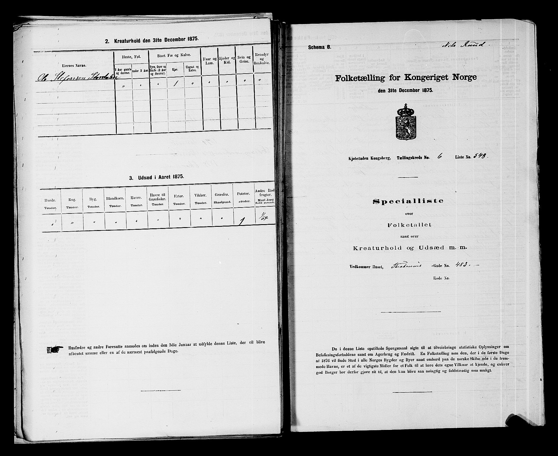 SAKO, 1875 census for 0604B Kongsberg/Kongsberg, 1875, p. 1200