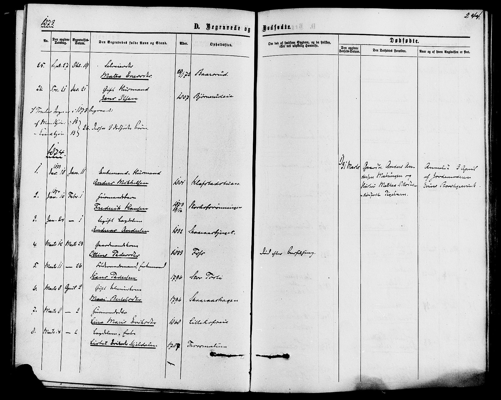 Romedal prestekontor, SAH/PREST-004/K/L0006: Parish register (official) no. 6, 1866-1886, p. 244