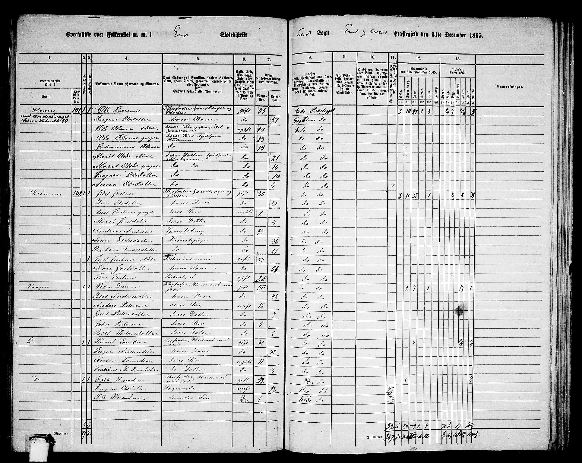 RA, 1865 census for Eid og Vold, 1865, p. 17