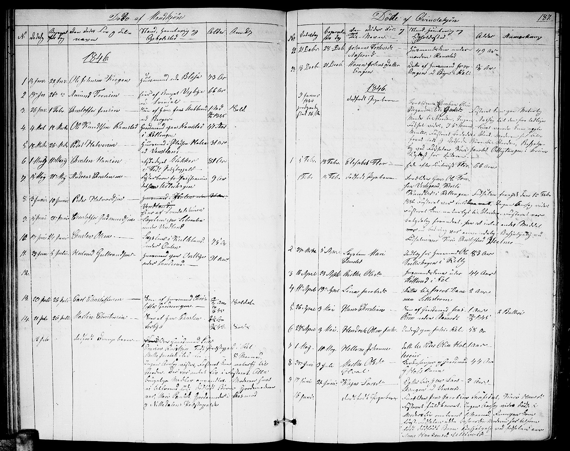 Fet prestekontor Kirkebøker, AV/SAO-A-10370a/G/Ga/L0002: Parish register (copy) no. I 2, 1843-1859, p. 187