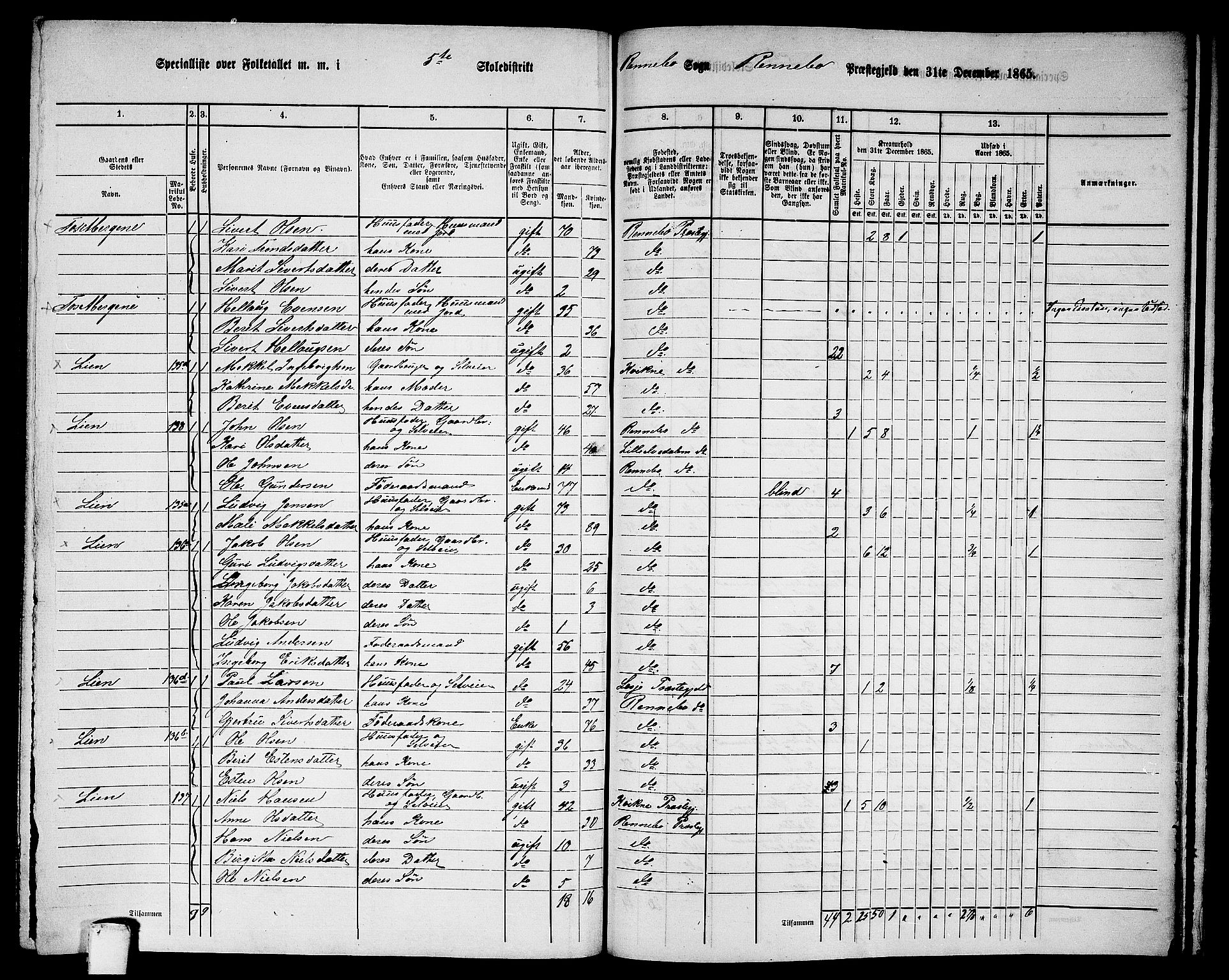 RA, 1865 census for Rennebu, 1865, p. 96