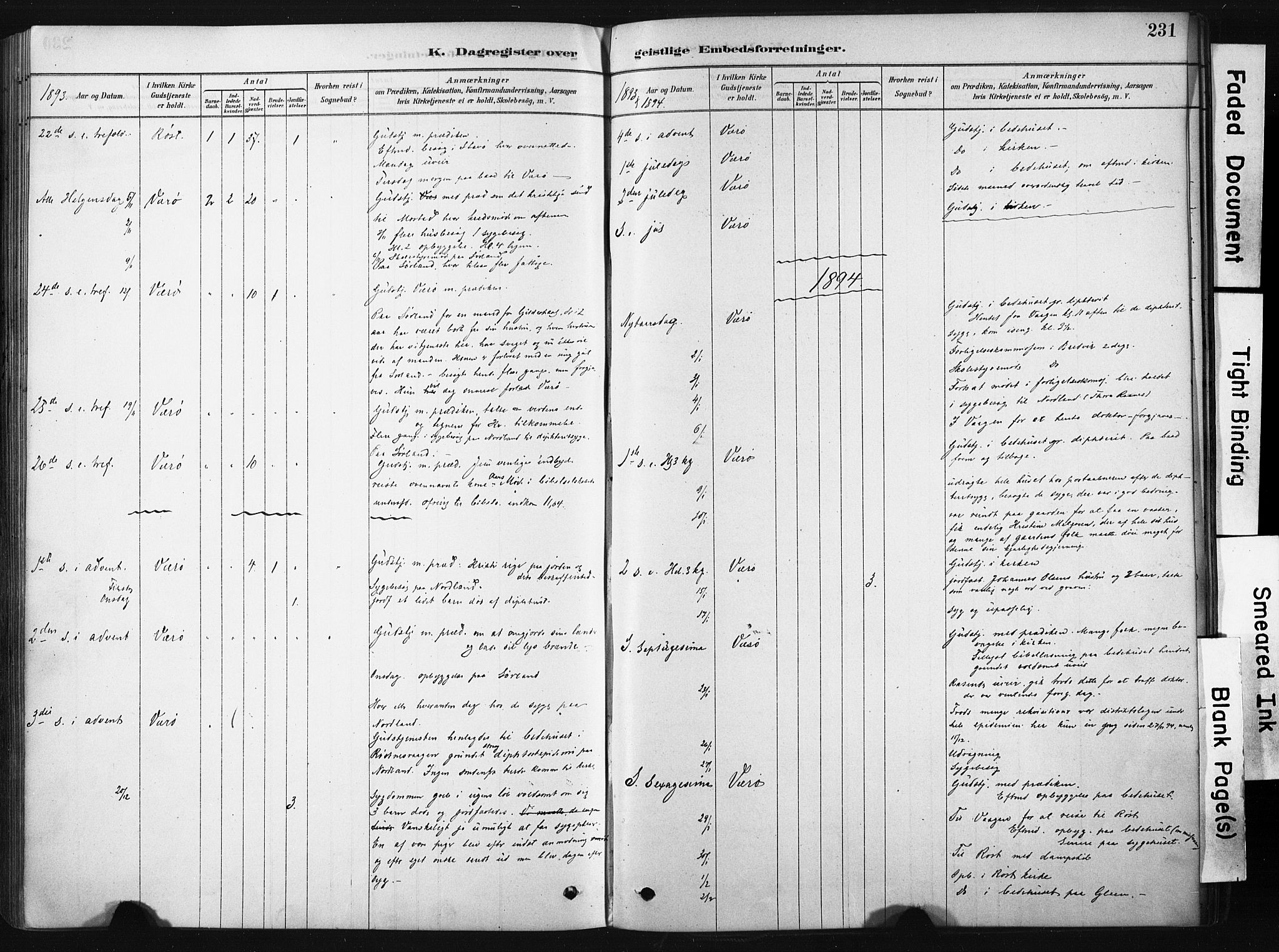 Ministerialprotokoller, klokkerbøker og fødselsregistre - Nordland, AV/SAT-A-1459/808/L0128: Parish register (official) no. 808A01, 1880-1902, p. 231