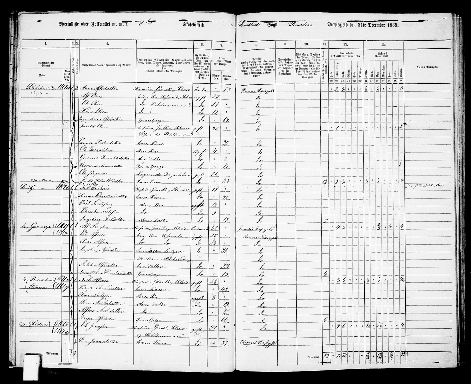 RA, 1865 census for Risør/Søndeled, 1865, p. 31