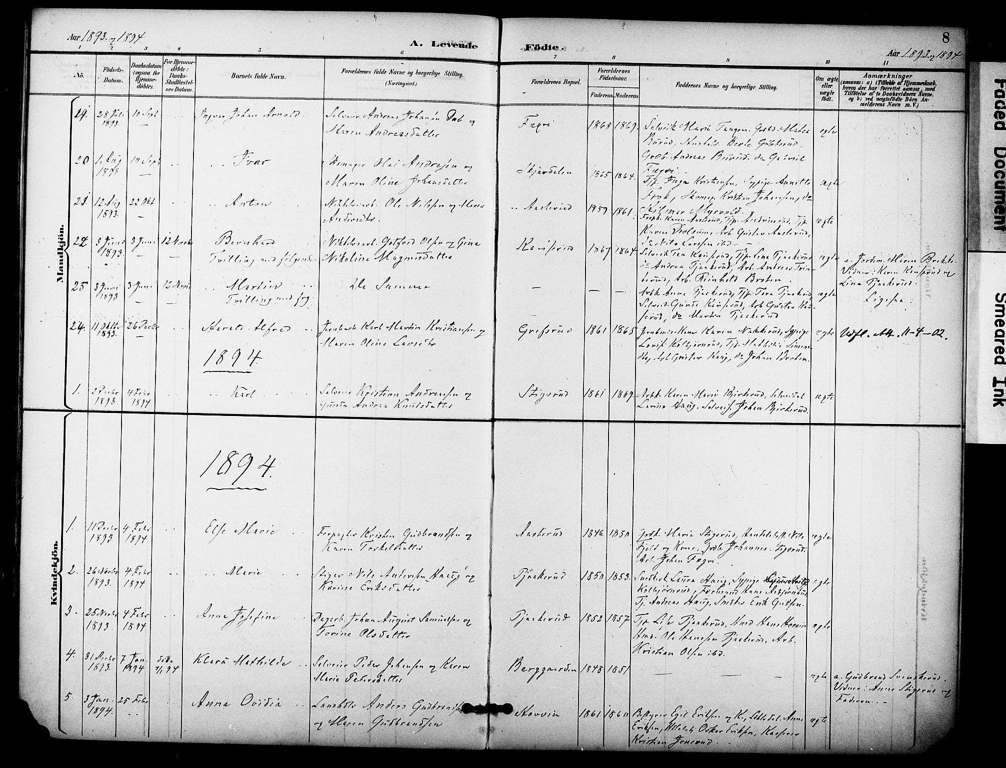 Hole kirkebøker, AV/SAKO-A-228/F/Fb/L0002: Parish register (official) no. II 2, 1892-1906, p. 8