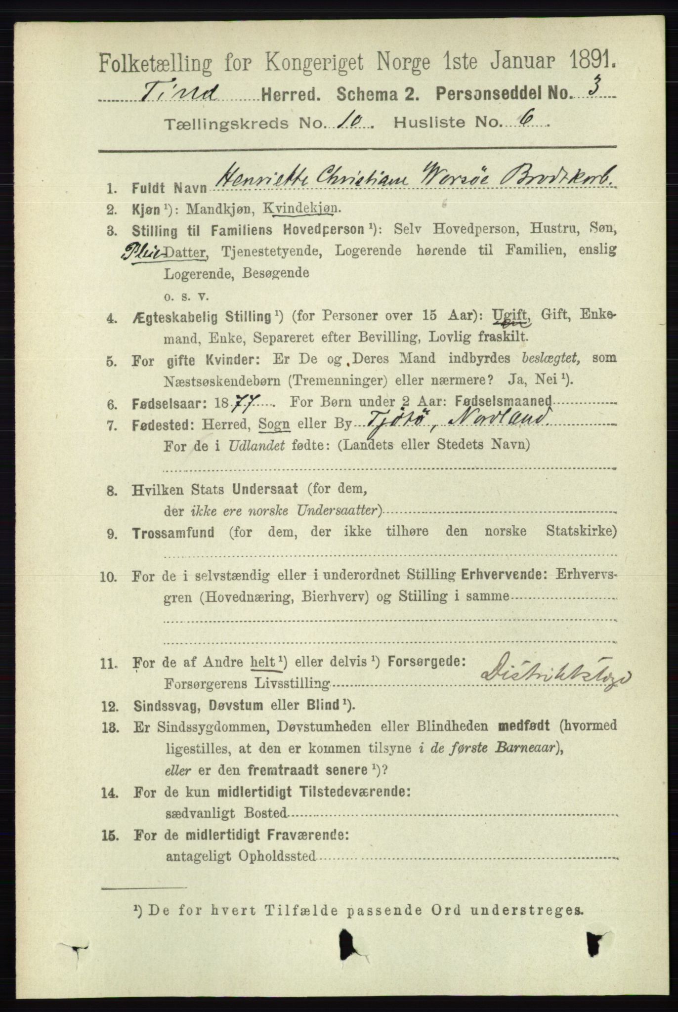 RA, 1891 census for 0826 Tinn, 1891, p. 2003