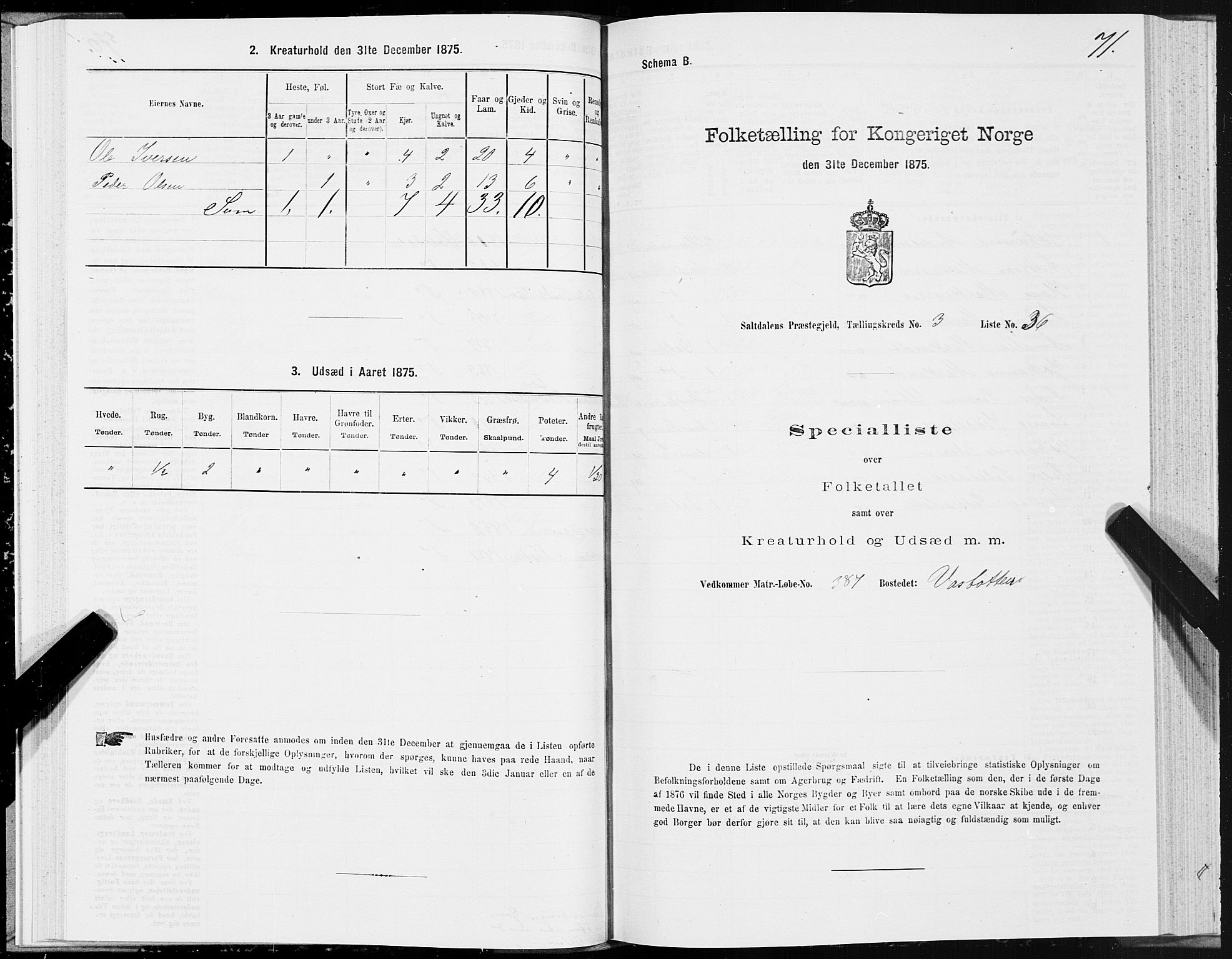 SAT, 1875 census for 1840P Saltdal, 1875, p. 2071