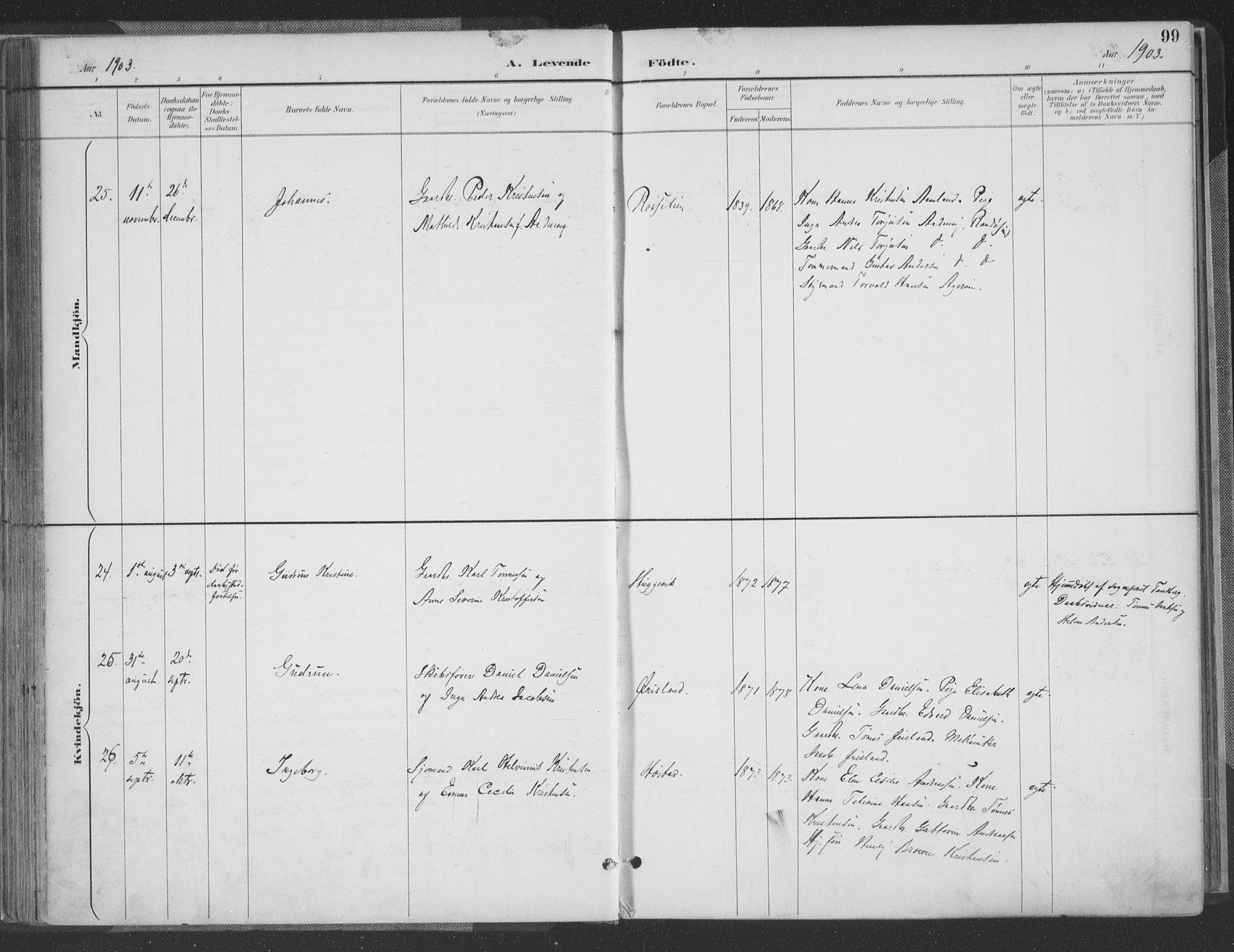 Høvåg sokneprestkontor, SAK/1111-0025/F/Fa/L0006: Parish register (official) no. A 6, 1894-1923, p. 99
