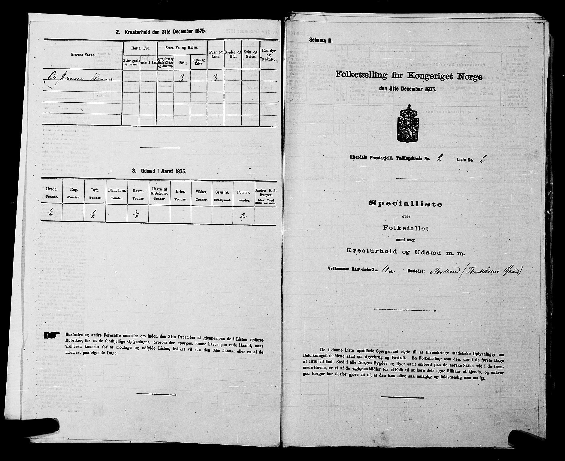 SAKO, 1875 census for 0823P Heddal, 1875, p. 218