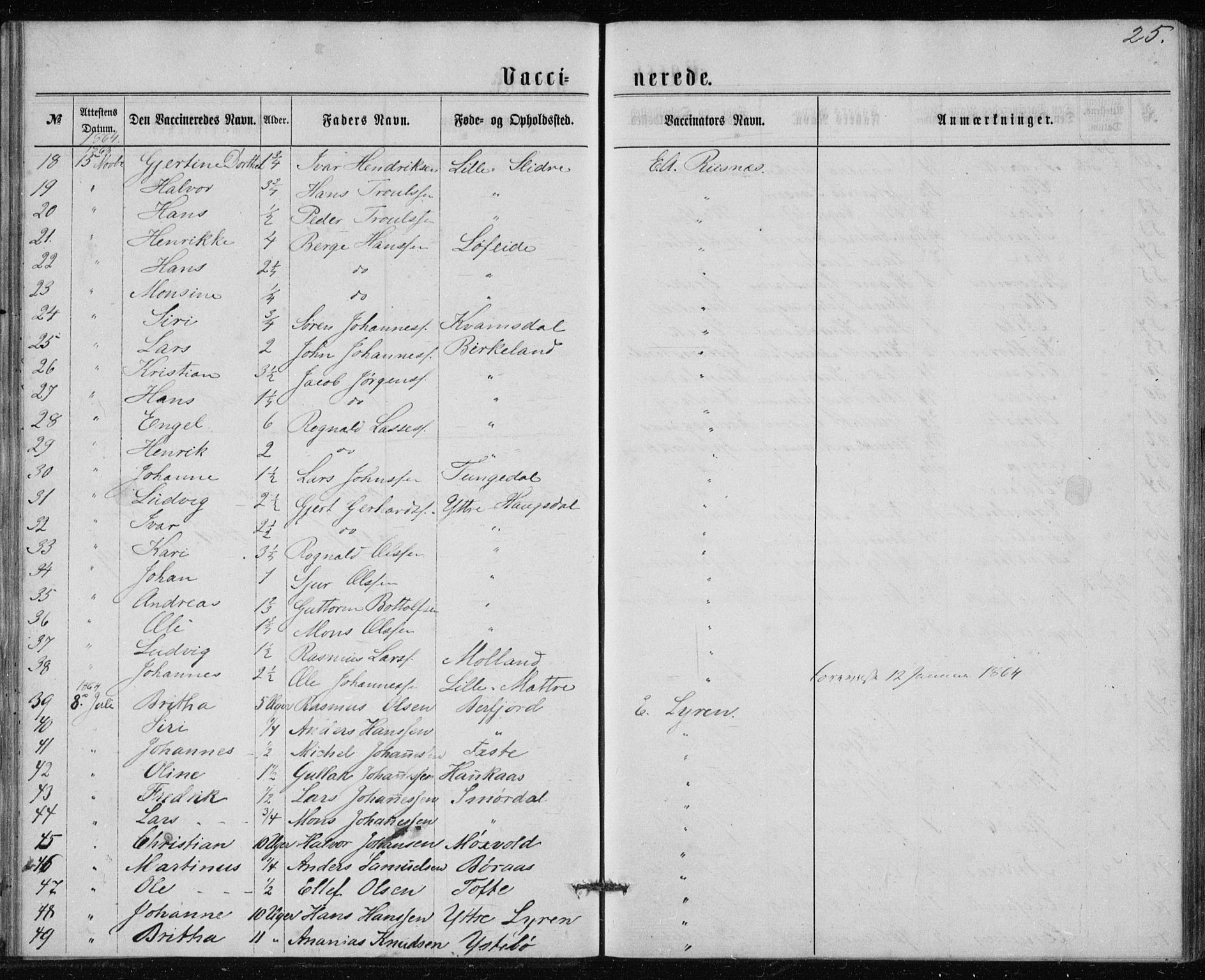 Lindås Sokneprestembete, AV/SAB-A-76701/H/Haa/Haaa/L0017: Parish register (official) no. A 17, 1874-1877, p. 25