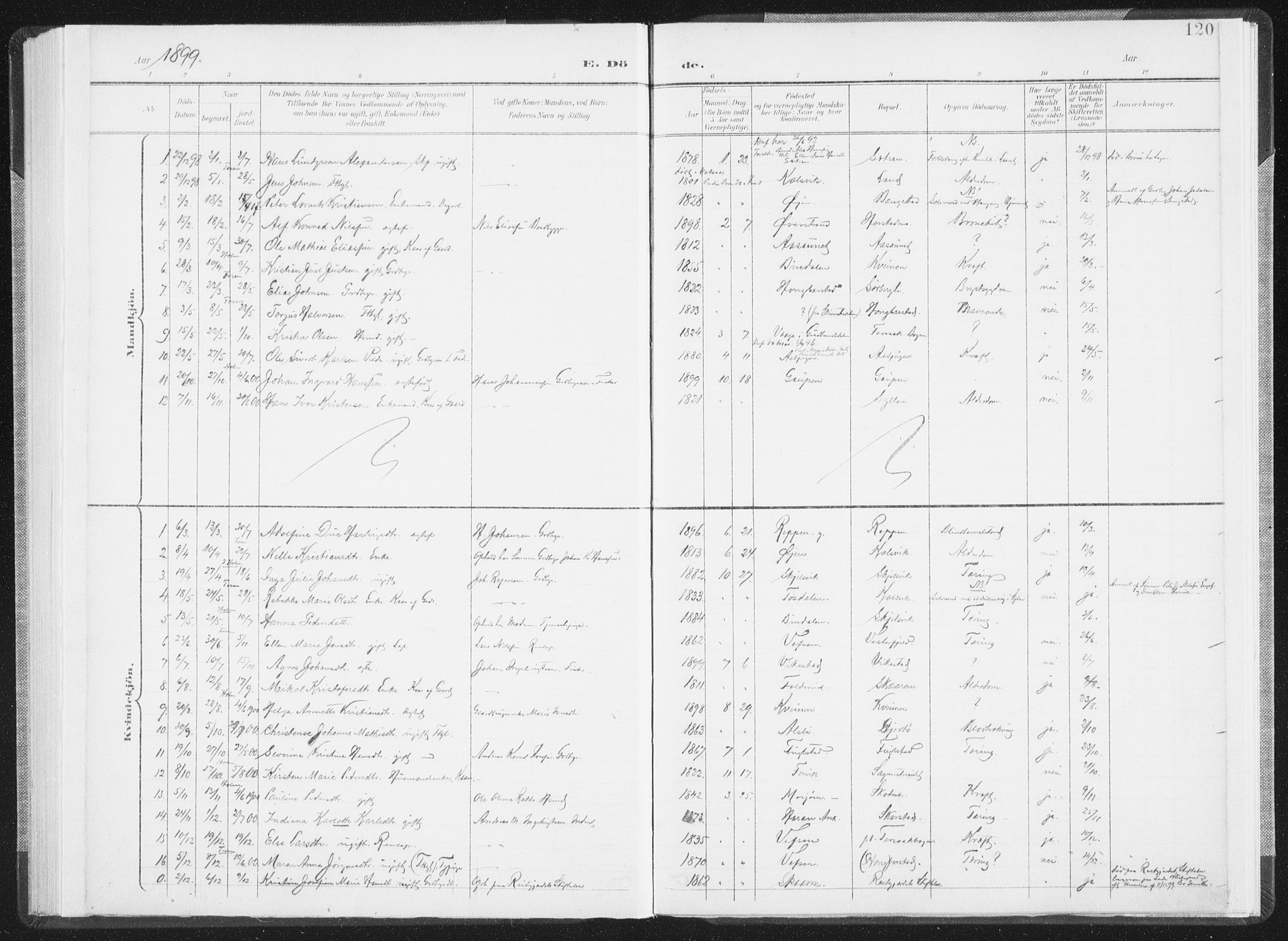 Ministerialprotokoller, klokkerbøker og fødselsregistre - Nordland, AV/SAT-A-1459/810/L0153: Parish register (official) no. 810A12, 1899-1914, p. 120